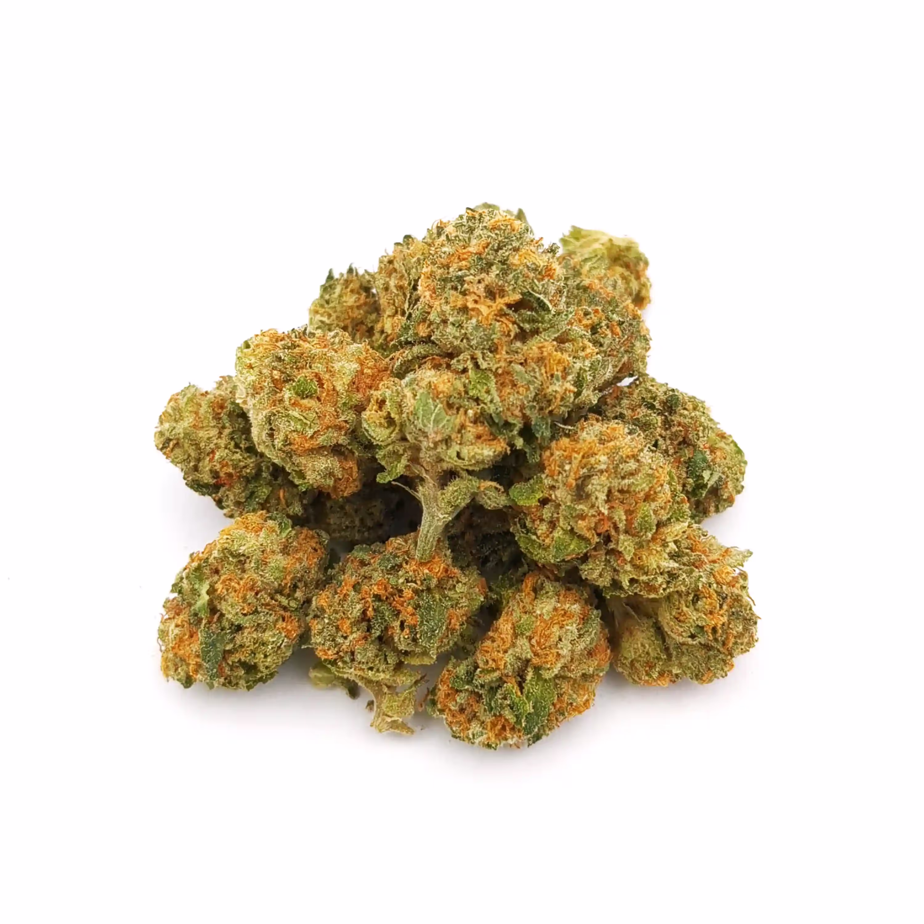 Bacio Gelato | 1/8 oz.
