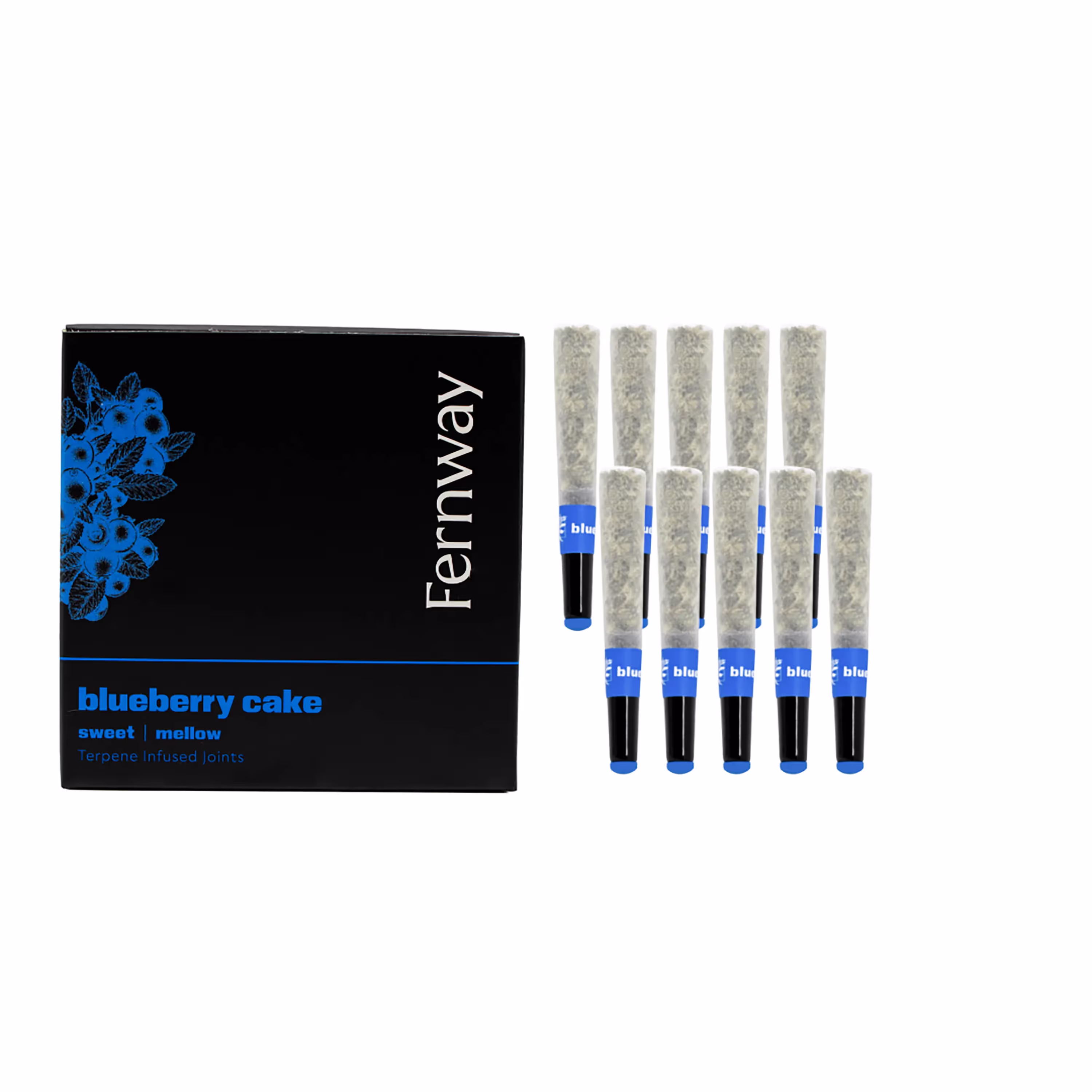 Blueberry Cake | Terpene Infused 10pk | 0.5g