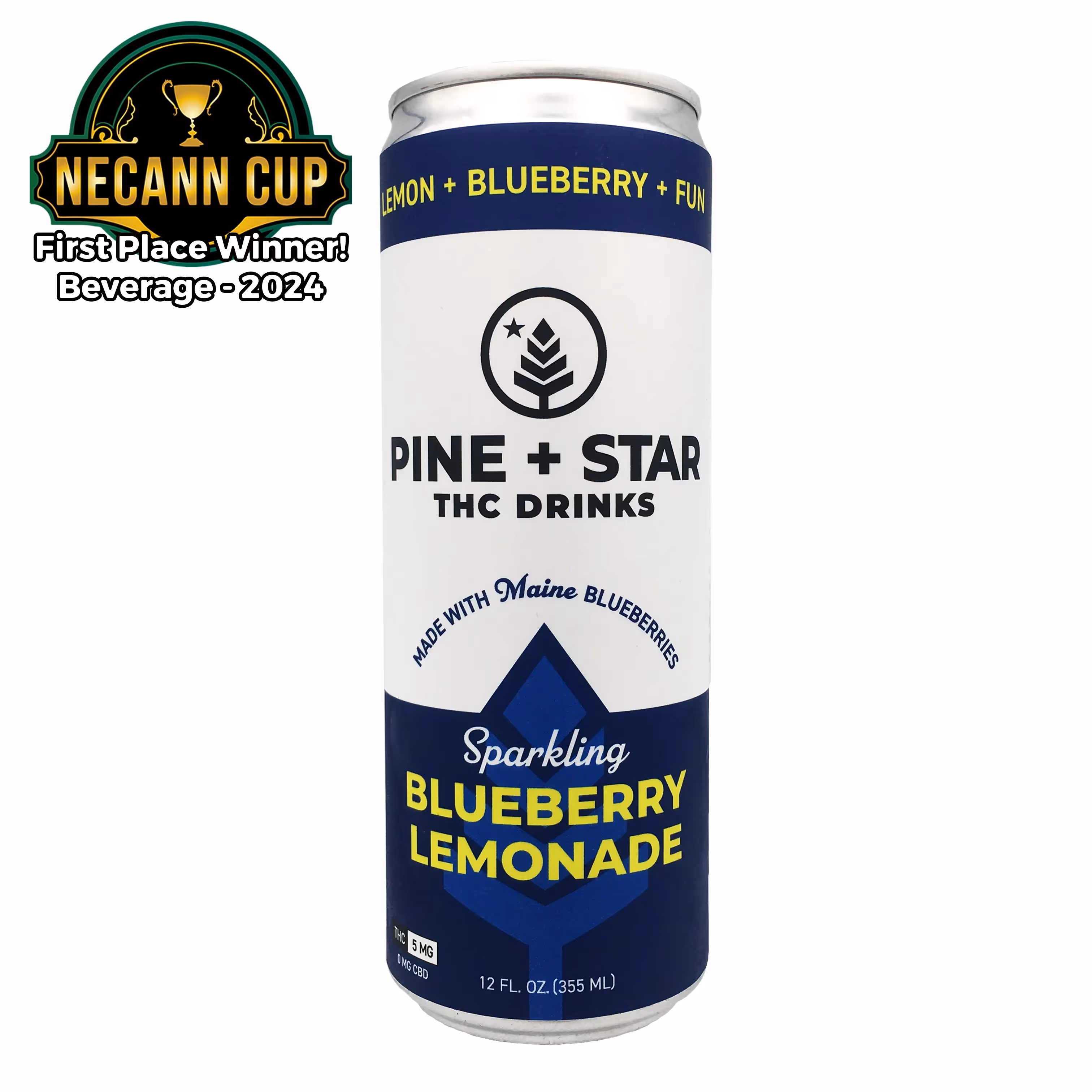 Sparkling Blueberry Lemonade