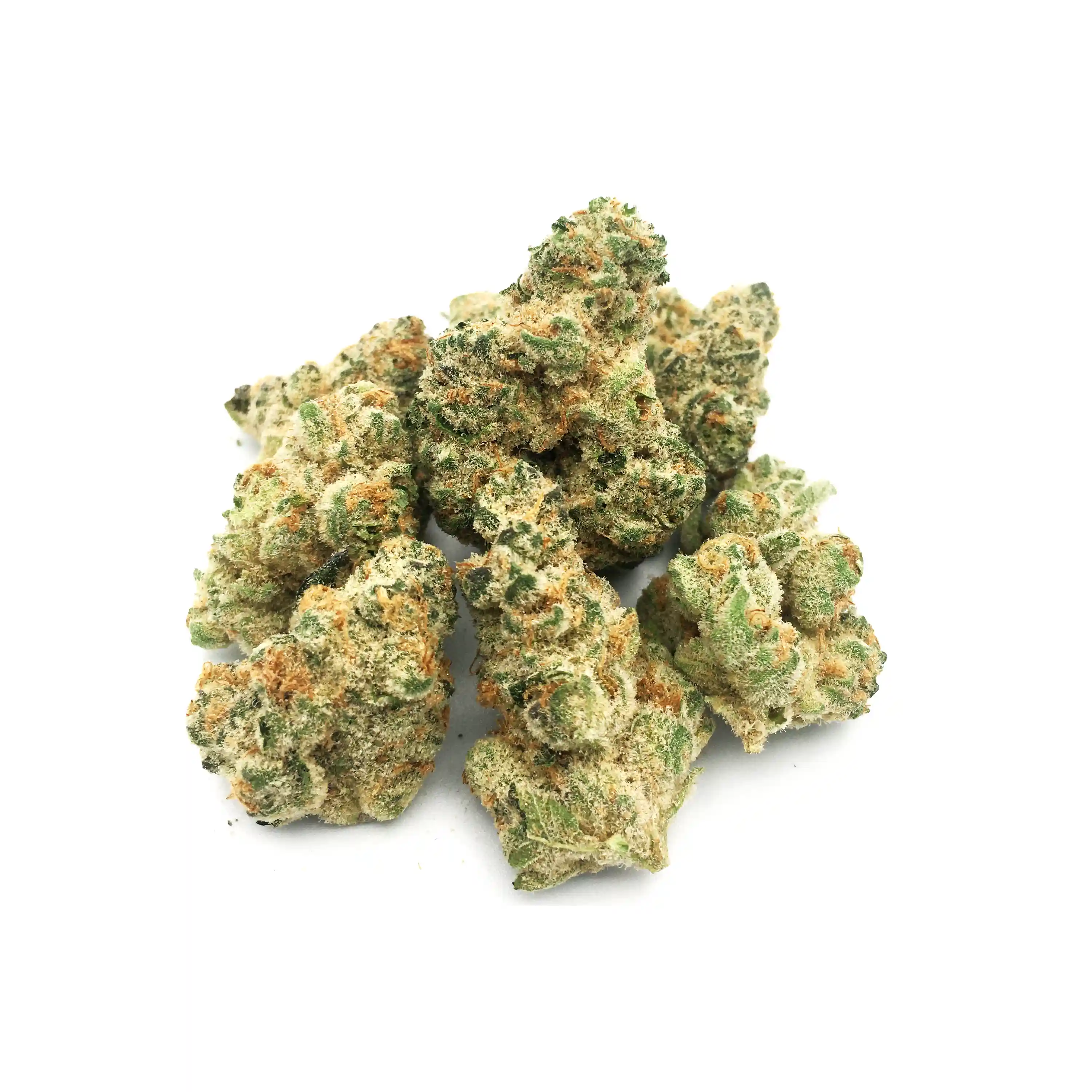 Animal Mints | 1/8 oz. | Harbor House