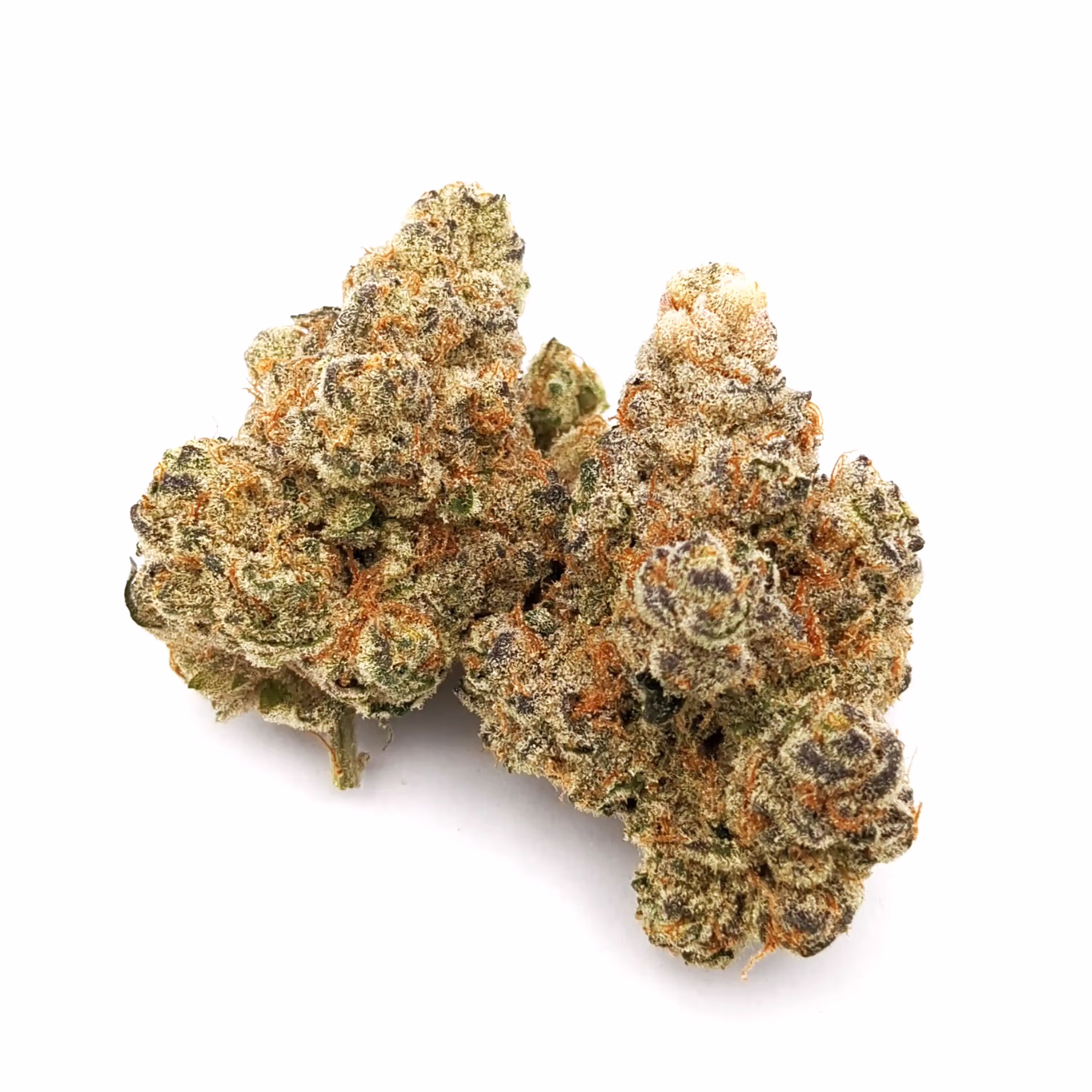 Bananaconda | 1/8 oz.