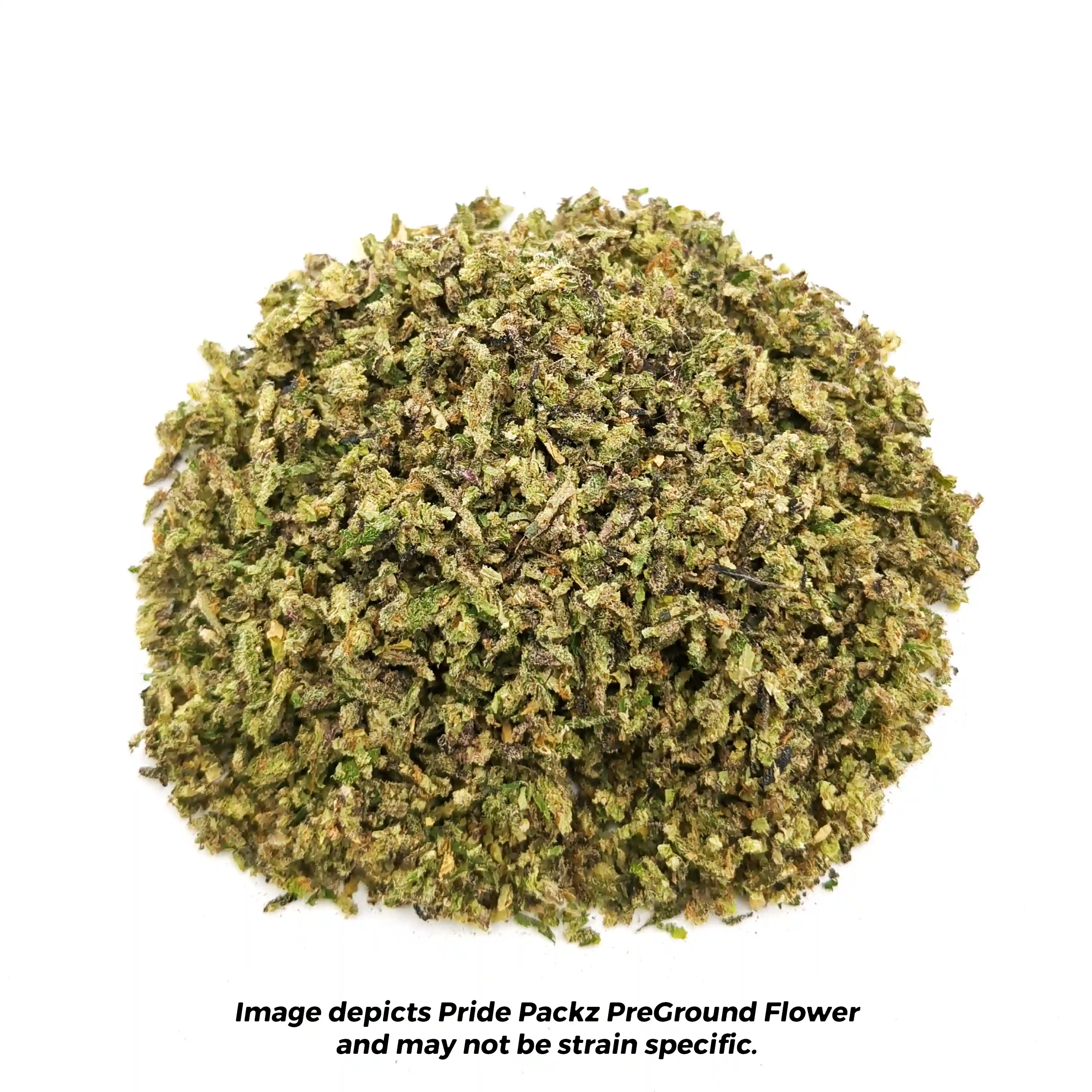 Rainbow Sherbet #11 | Pre-Ground | 1/4 oz. | Pride Packz
