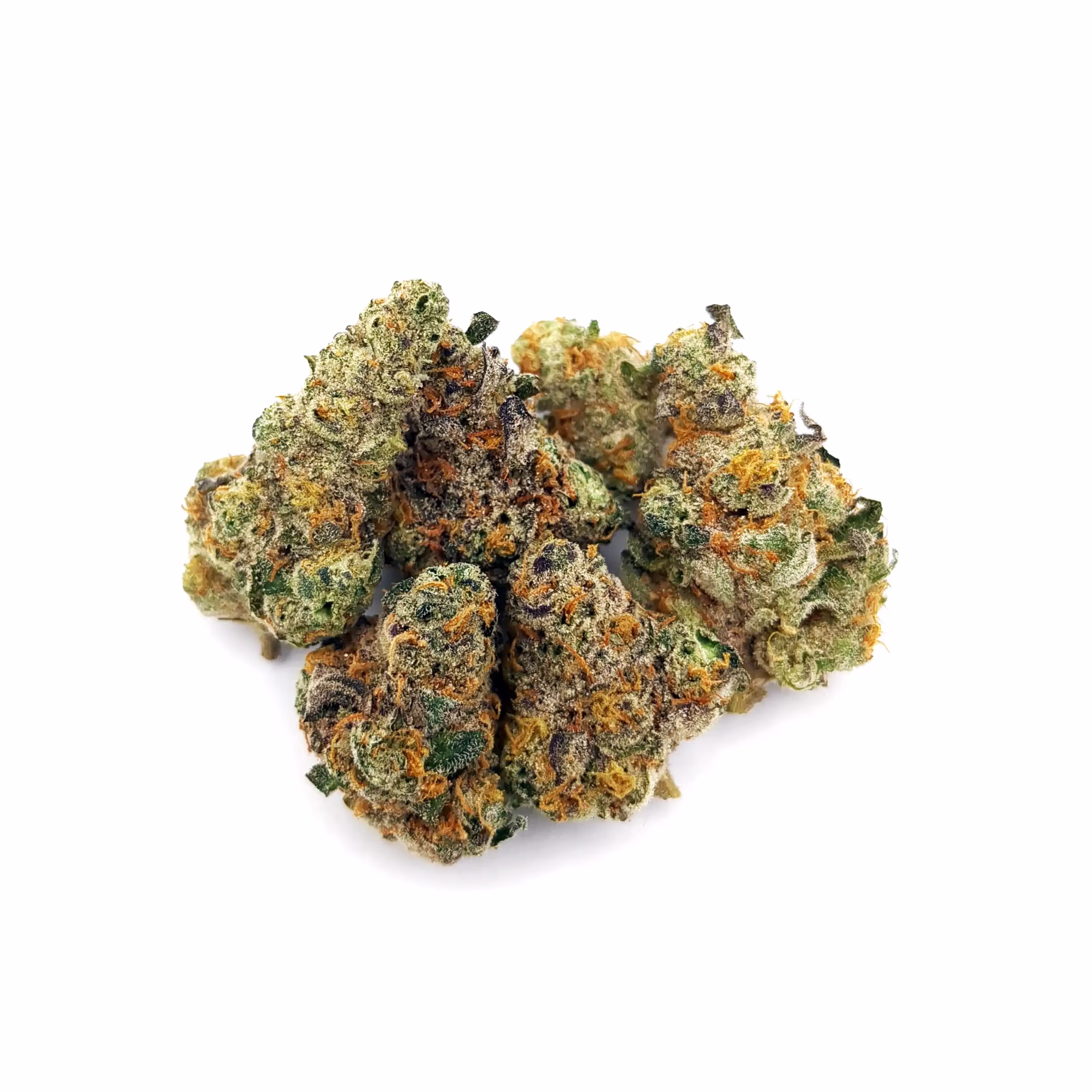 Governmint Oasis | 1/8 oz.