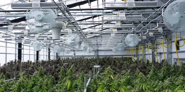 Join us at Terpene Journey for an exclusive event with Aruna. Aruna's team will be on location at our Swampscott dispensary to answer questions about the full line of products recently introduced at Terpene Journey.