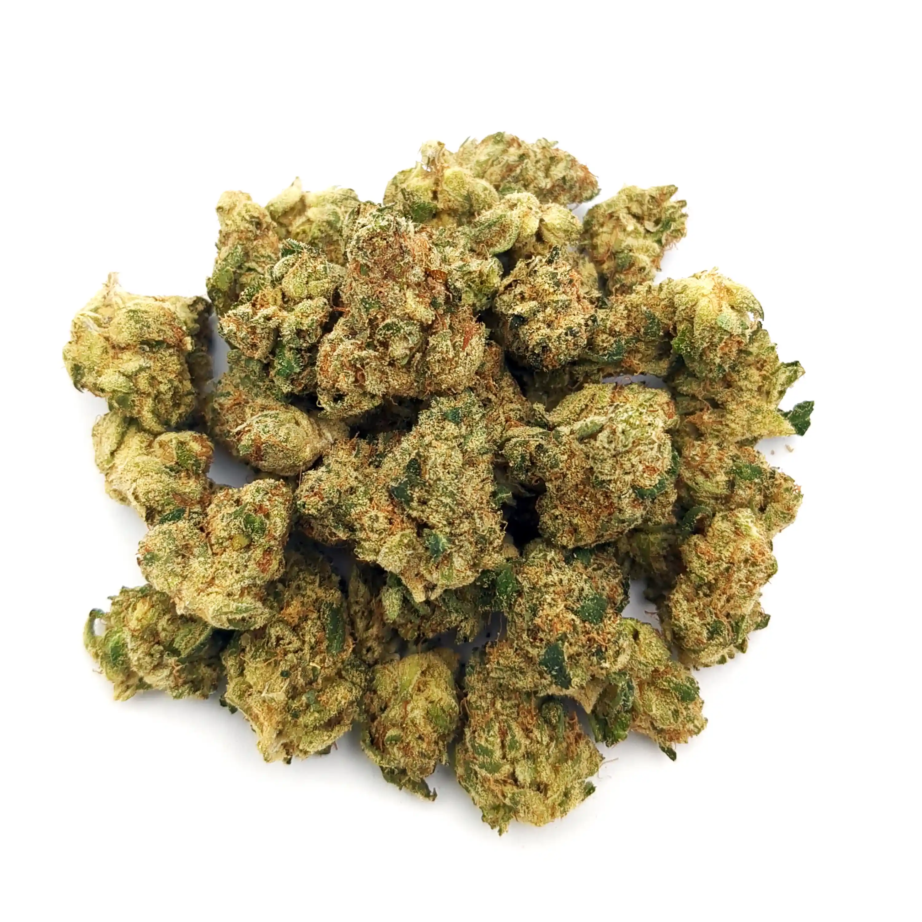 Kosher Kush x Albariño #1 | Mini-Buds | 1/4 oz.