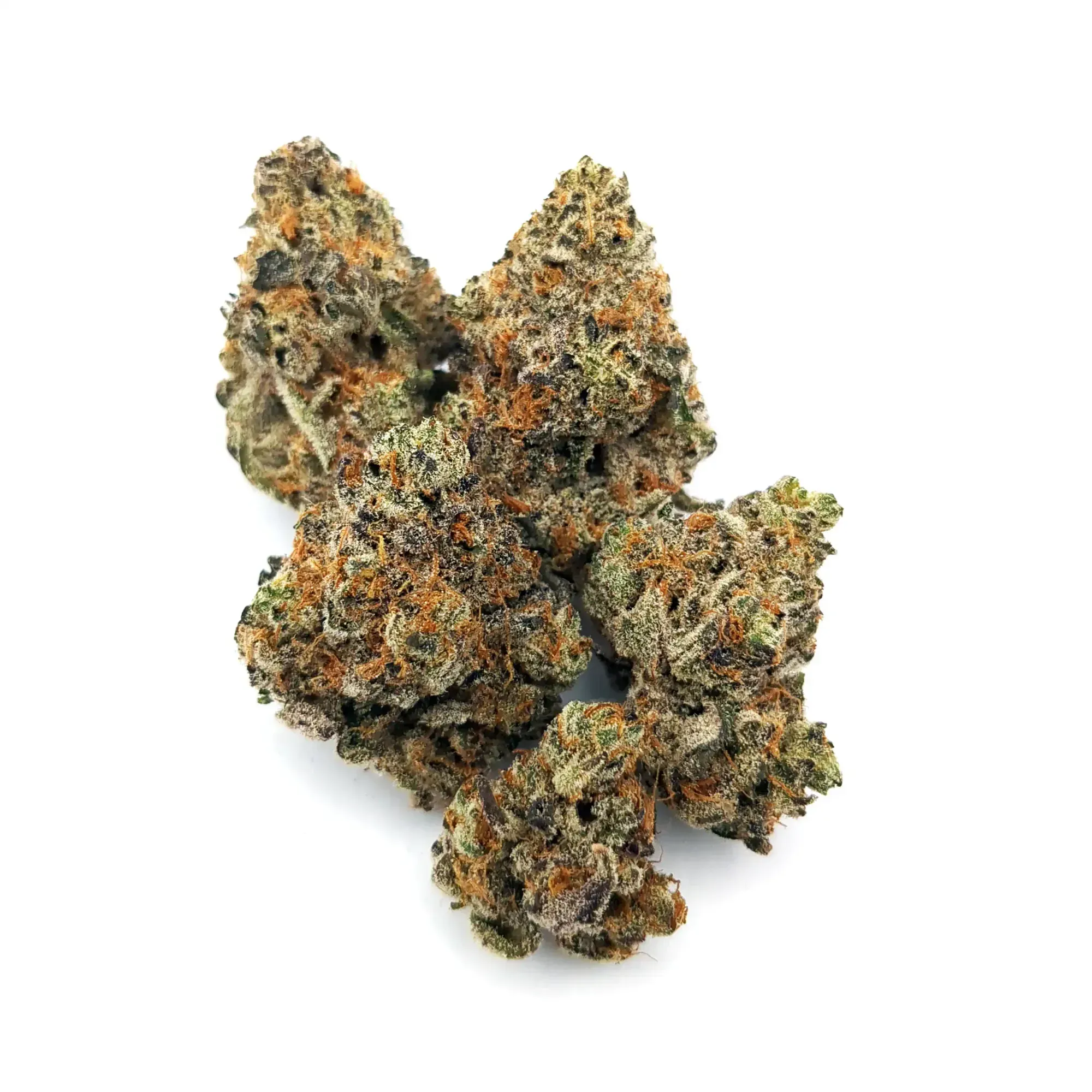 Watermelon Mimosa | 1/8 oz.