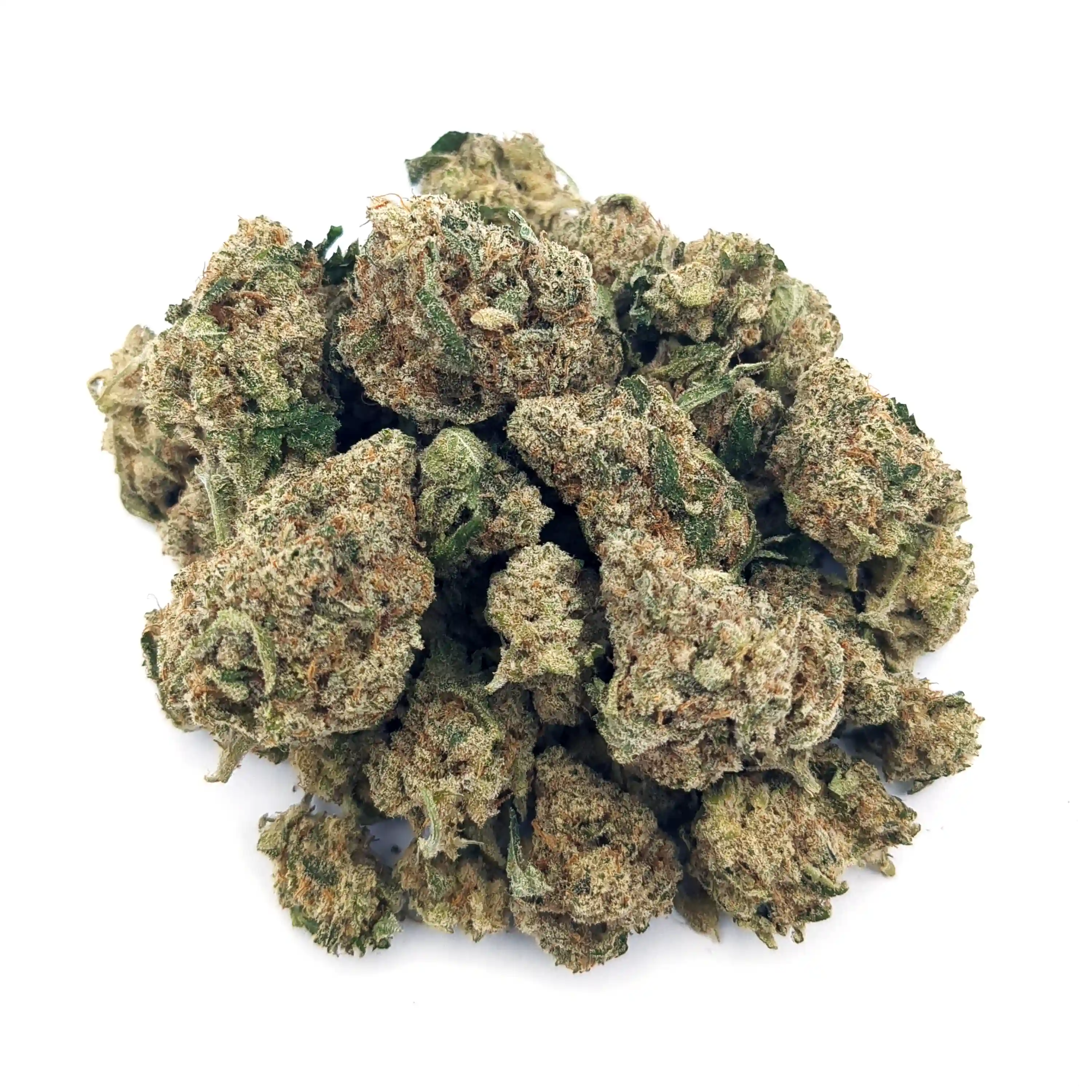 Mac and Cheese | Mini-Buds | 1/2 oz.