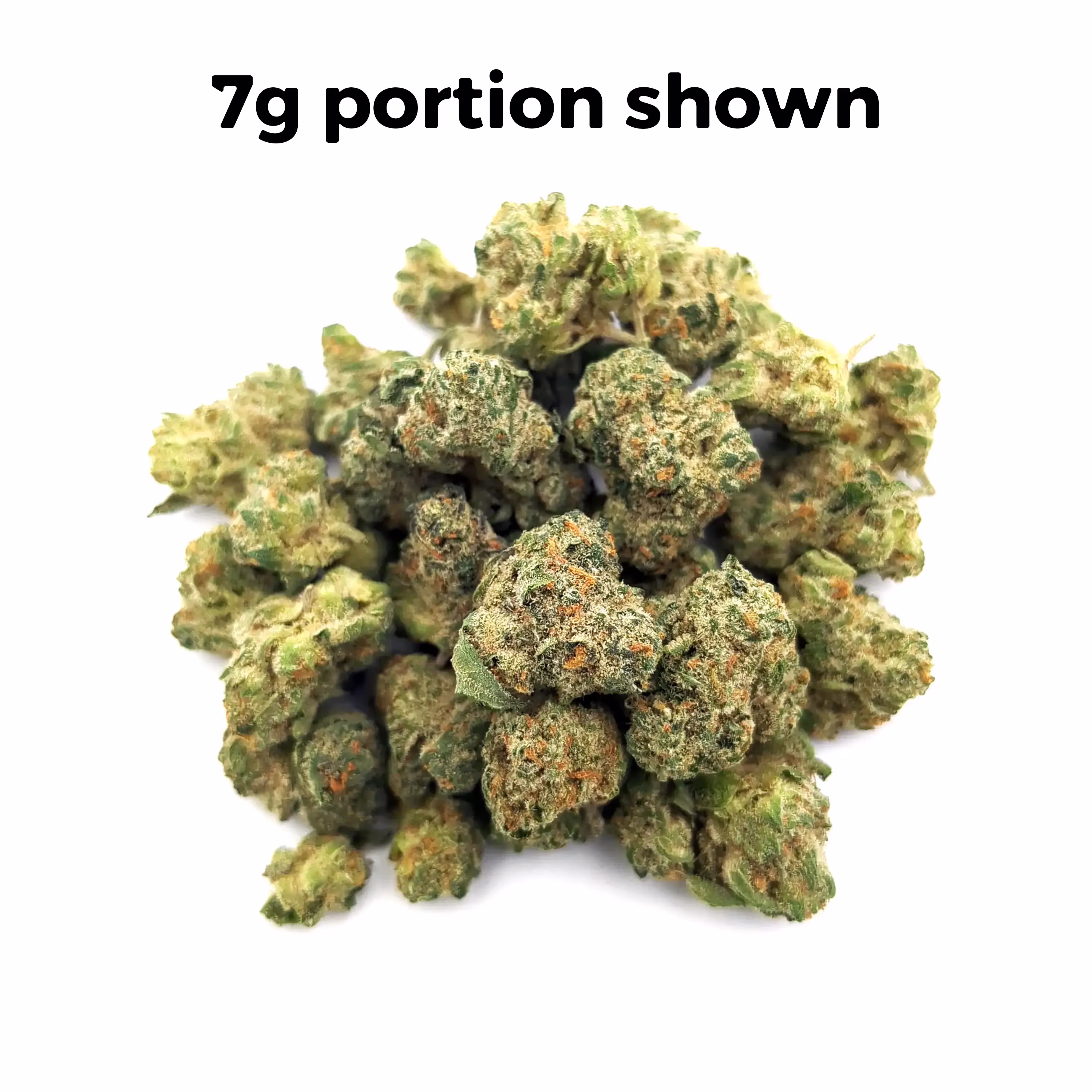 Horchata | Mini-Buds | 1/2 oz.