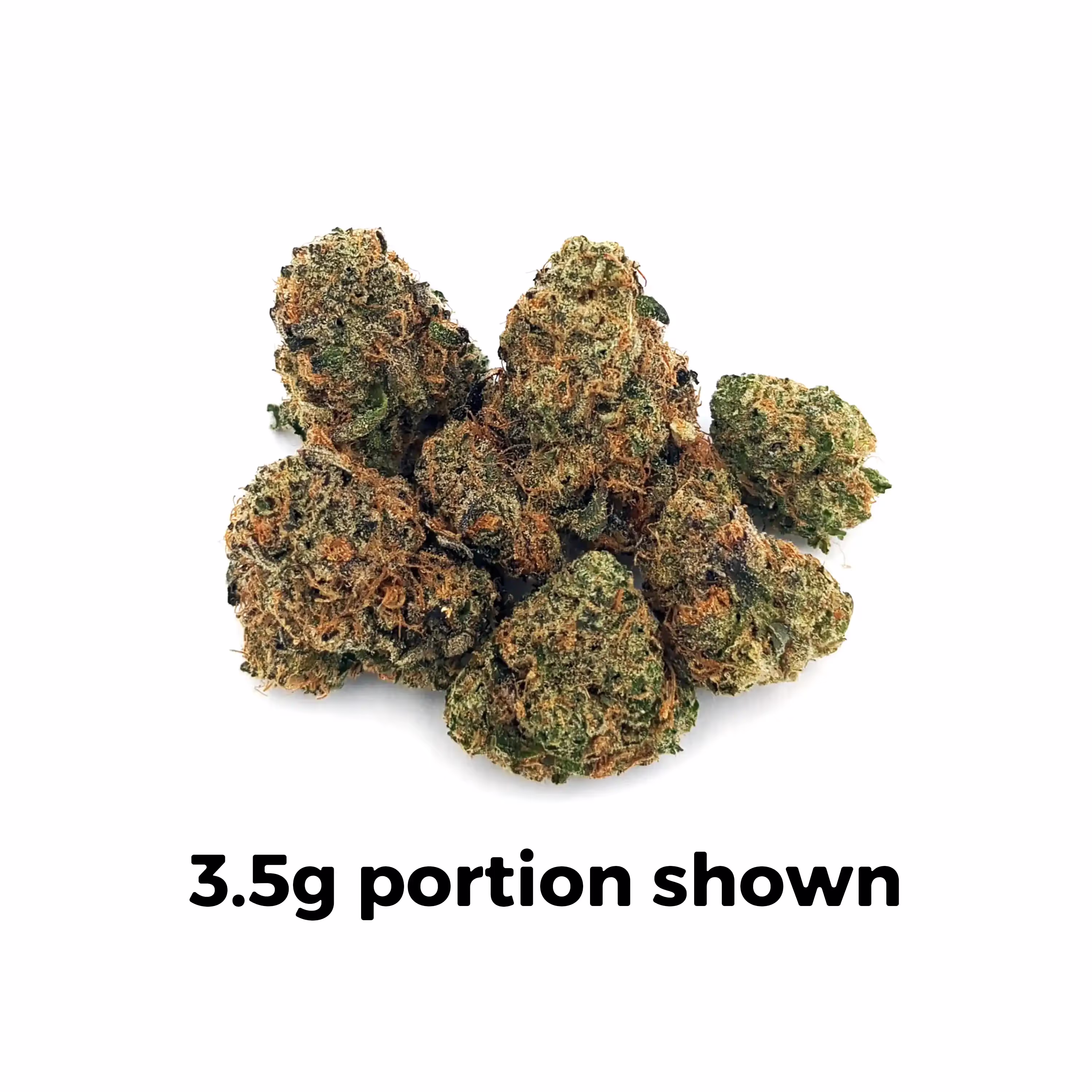 Black Maple | Mini-Buds | 1/4 oz.