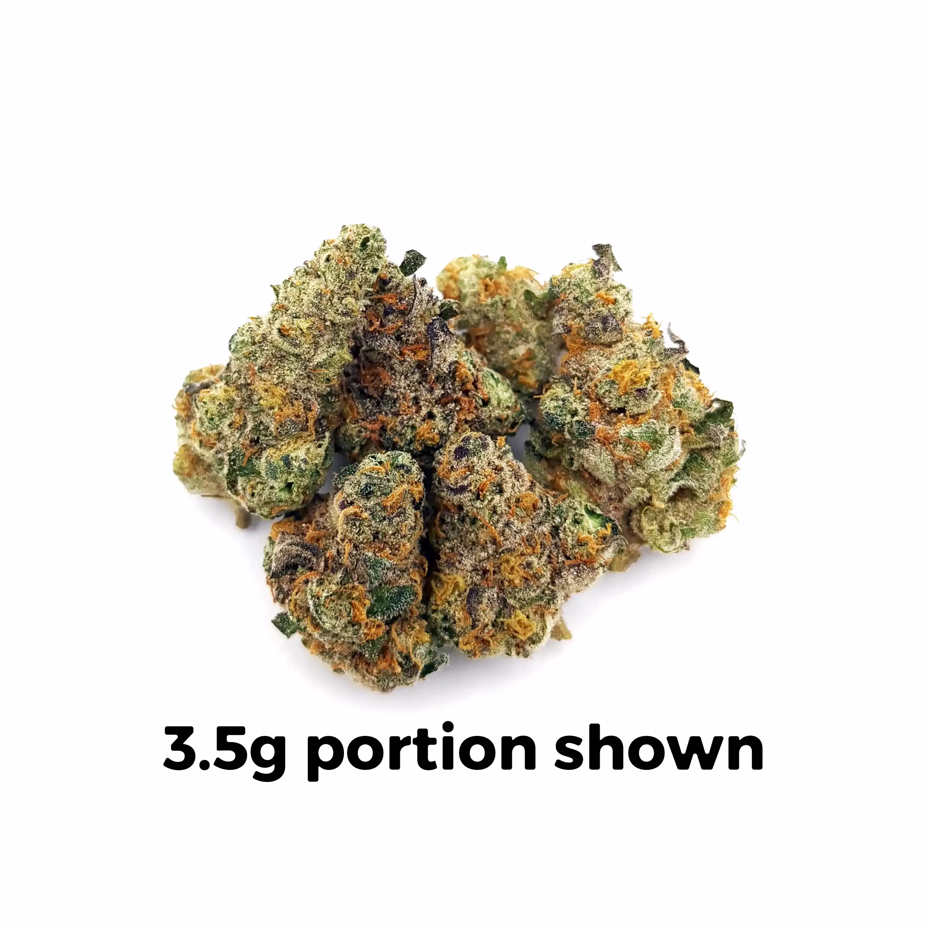Governmint Oasis | 1 oz.