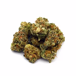 Chocolate OG | Mini-Buds | 1/8 oz.