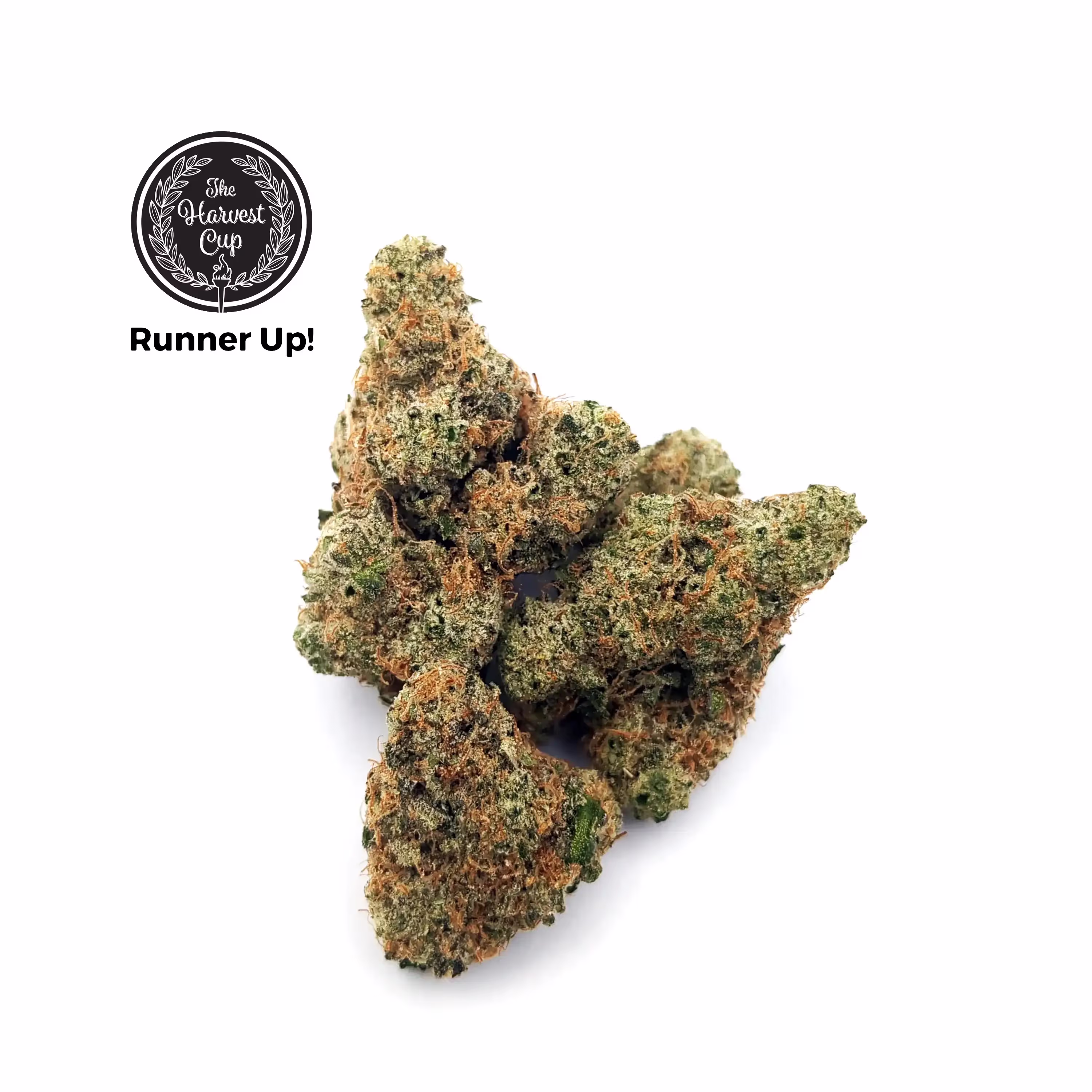 Black Maple | 1/8 oz. | Tower Three