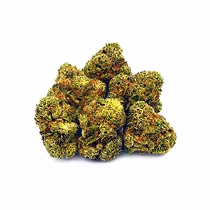 Guava Biscotti | 1/8 oz.