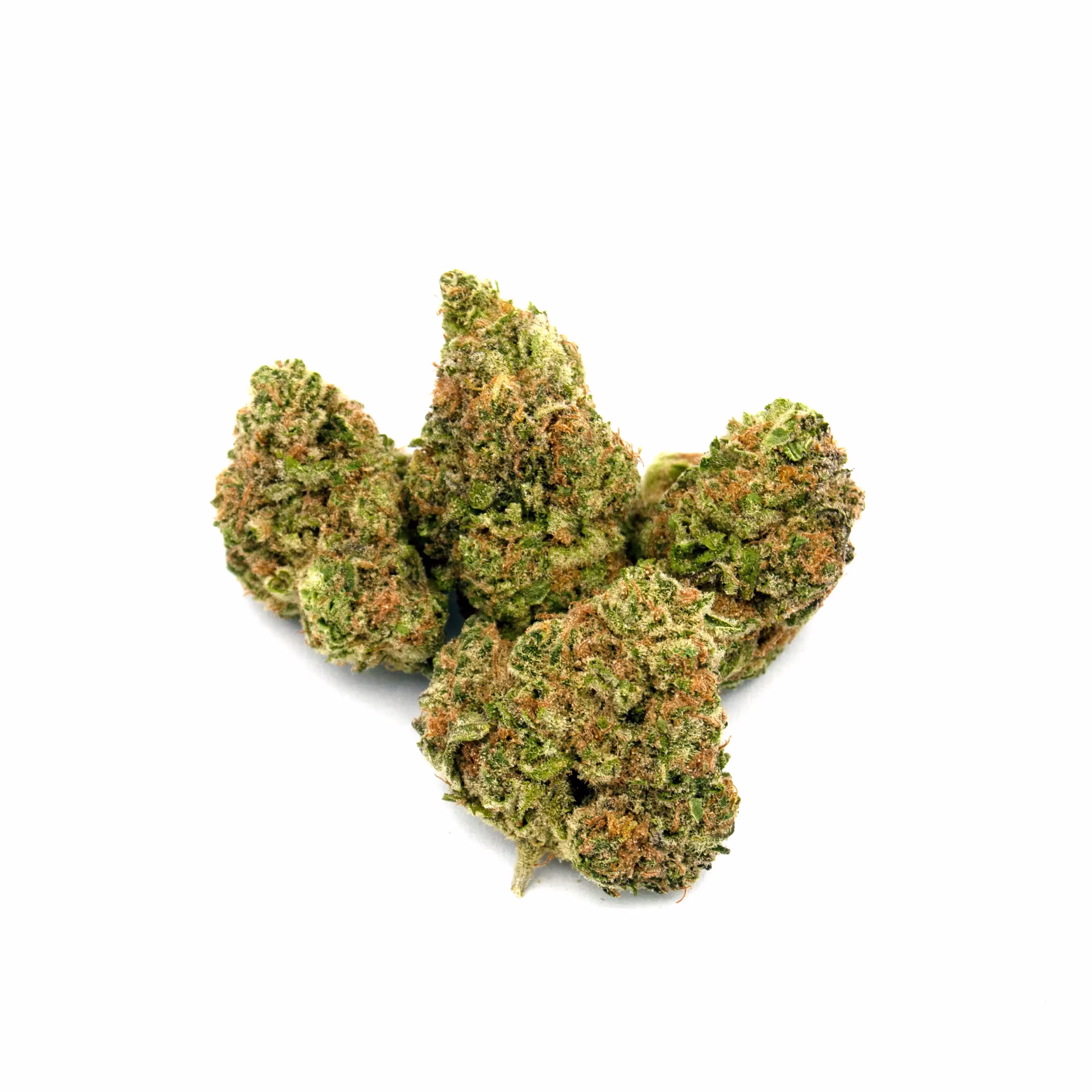 Blueberry Muffin | 1/8 oz.
