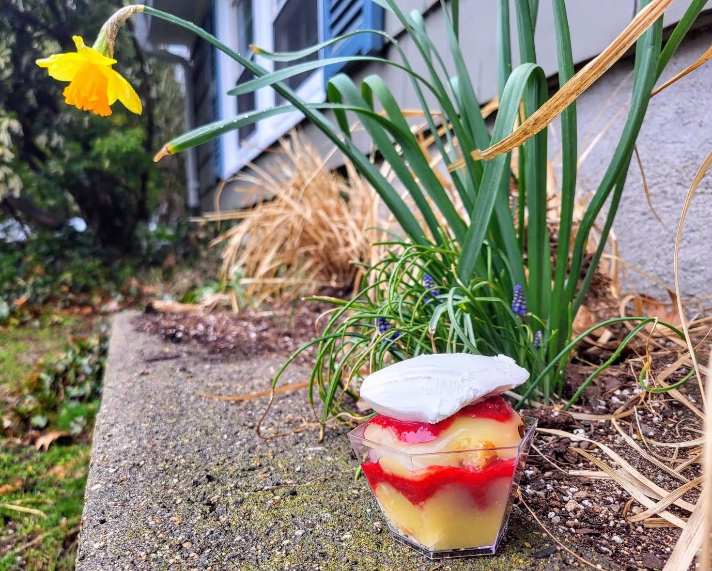 Lemon Raspberry Trifle with Clebby's Infused Lemon Poundcake