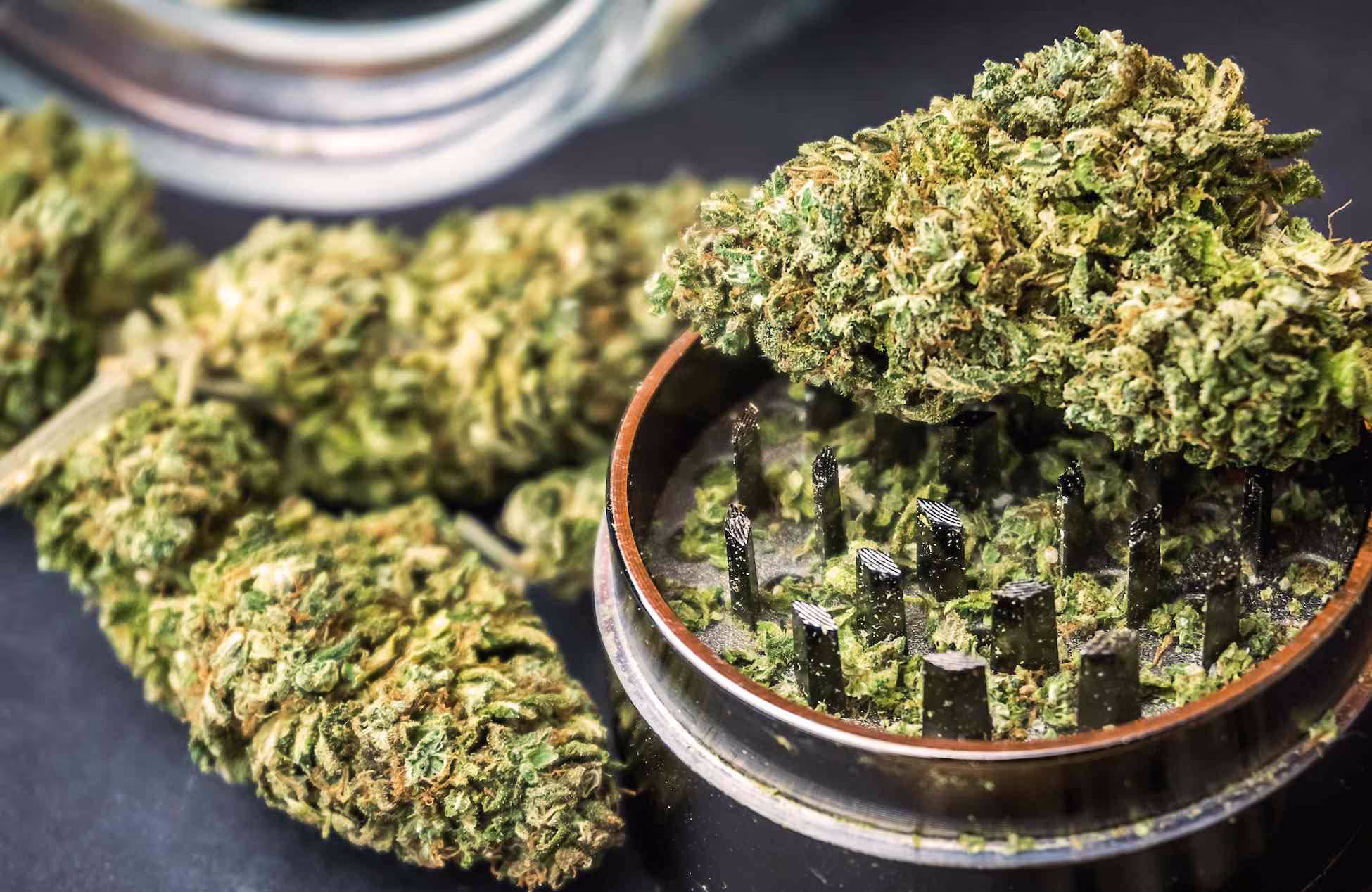 cannabis flower and grinder at terpene journey cannabis dispensary in swampscott