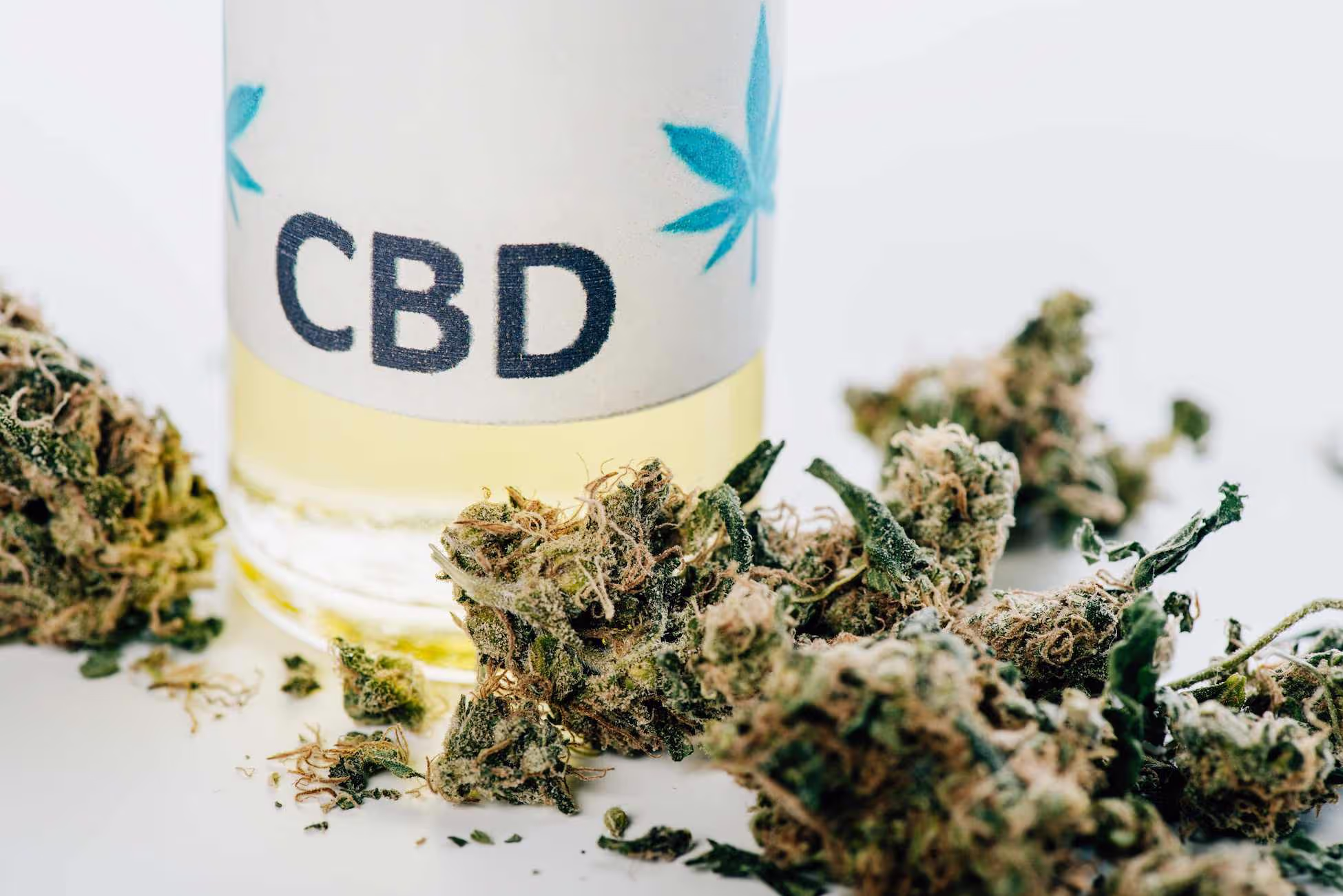 cannabis-bottle-cbd- terpene journey