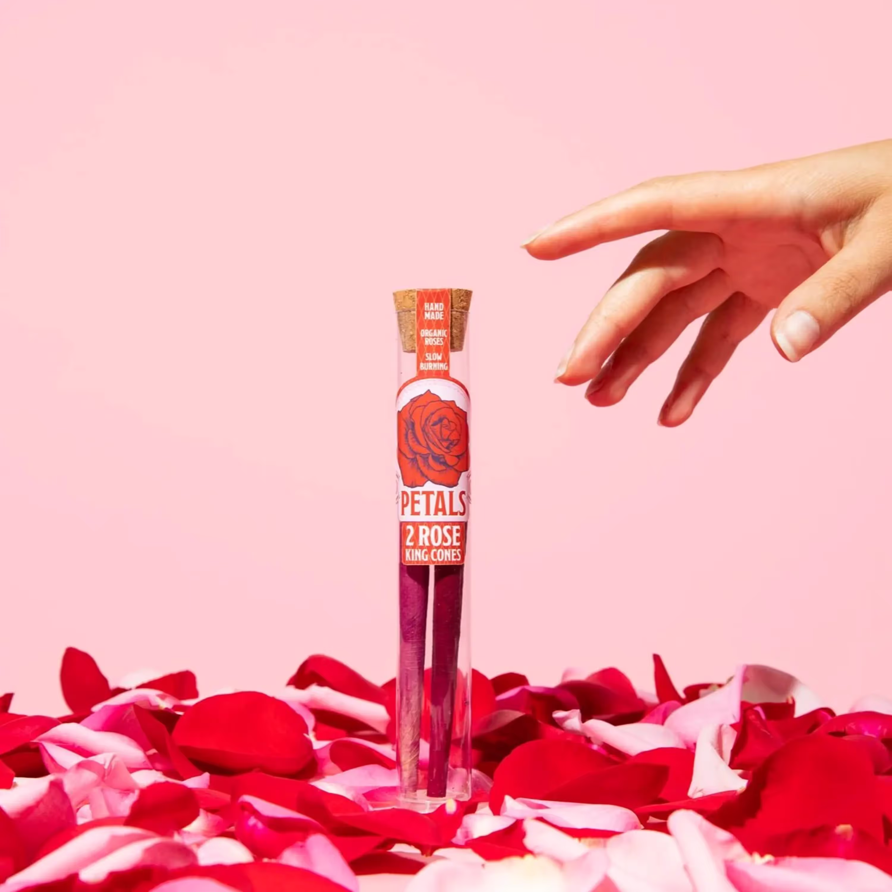 Organic Rose King Cones | 2pk