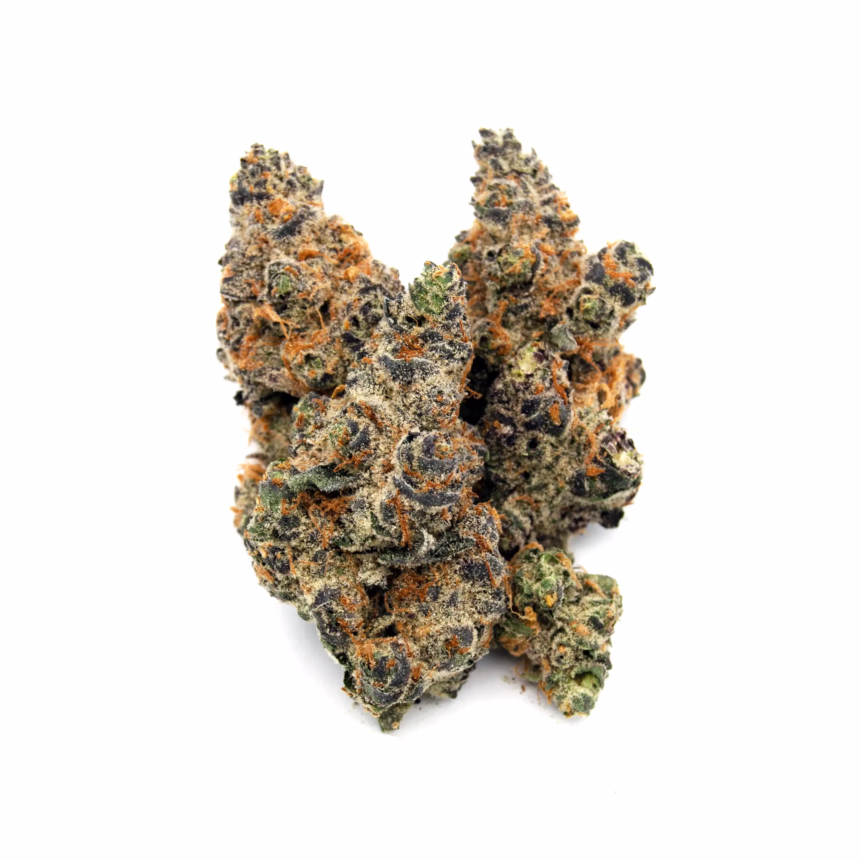 Blueberry Cupcake | 1/8 oz.