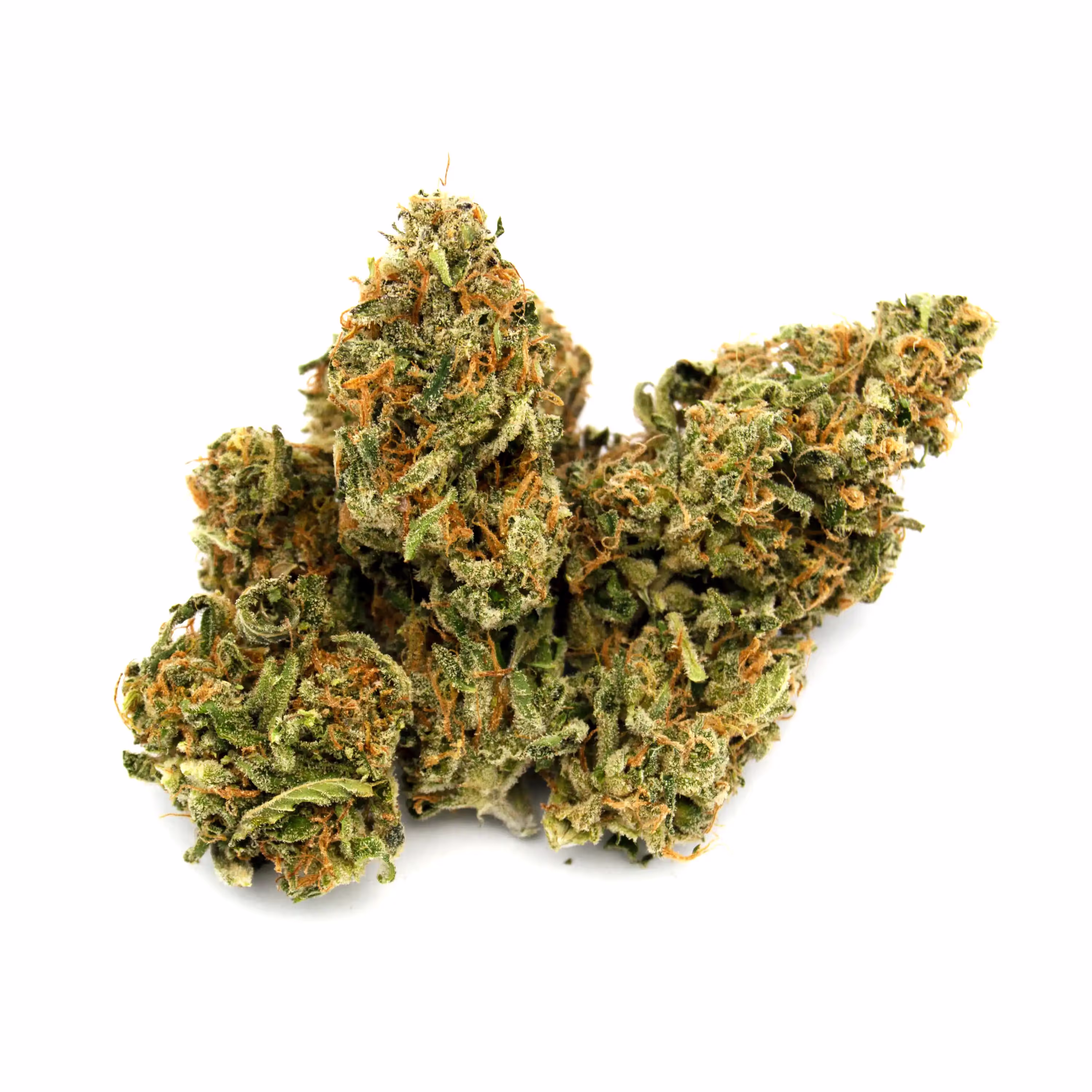 Orange Alien Cookies | 1/8 oz.