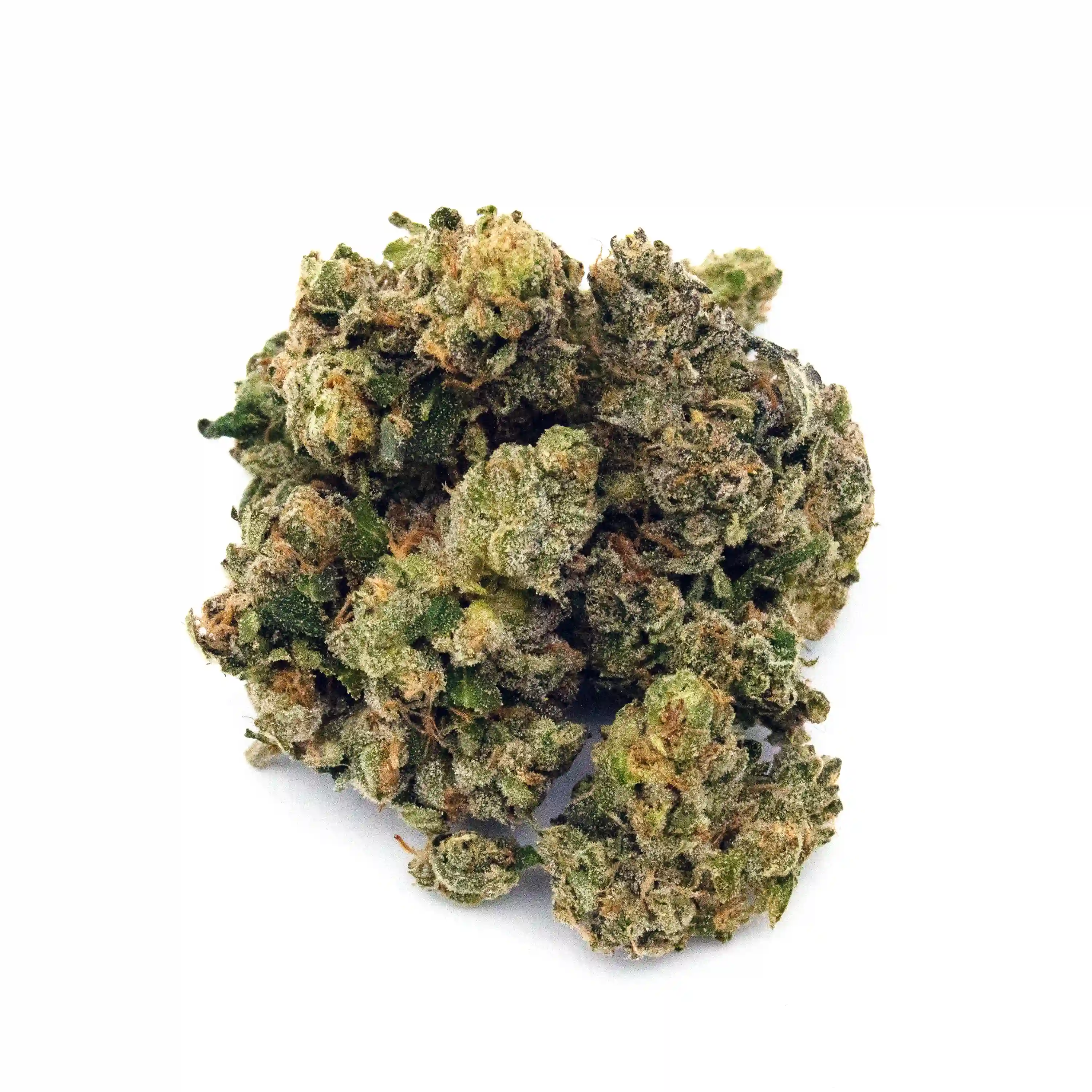 Purple Champagne | 1/8 oz.
