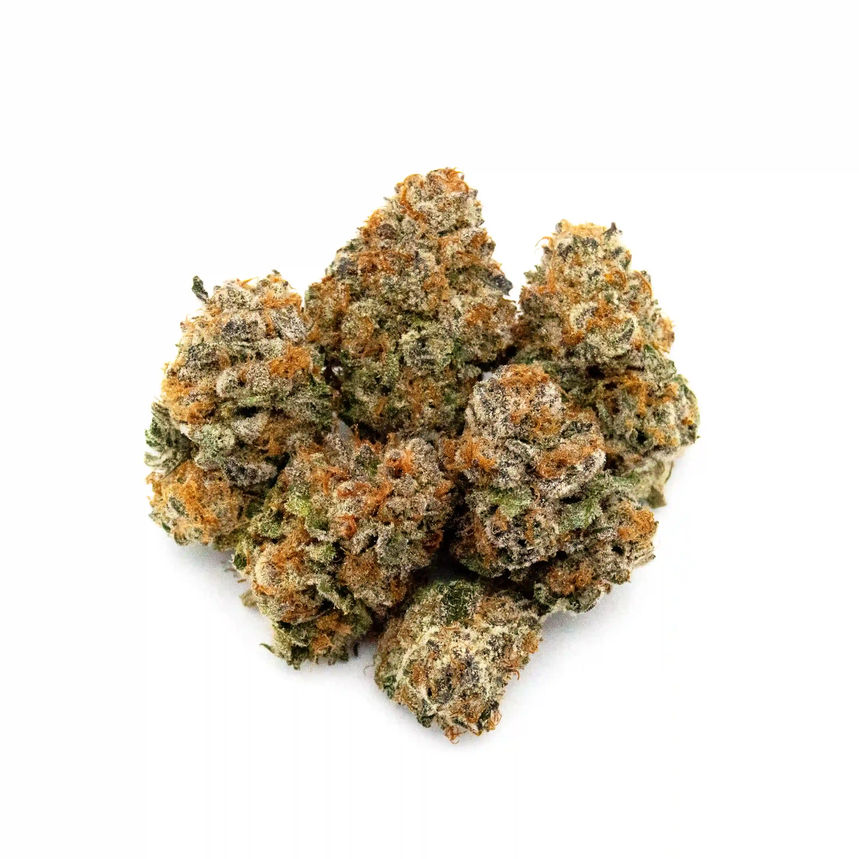 GMO x Mai Tai | 1/8 oz.