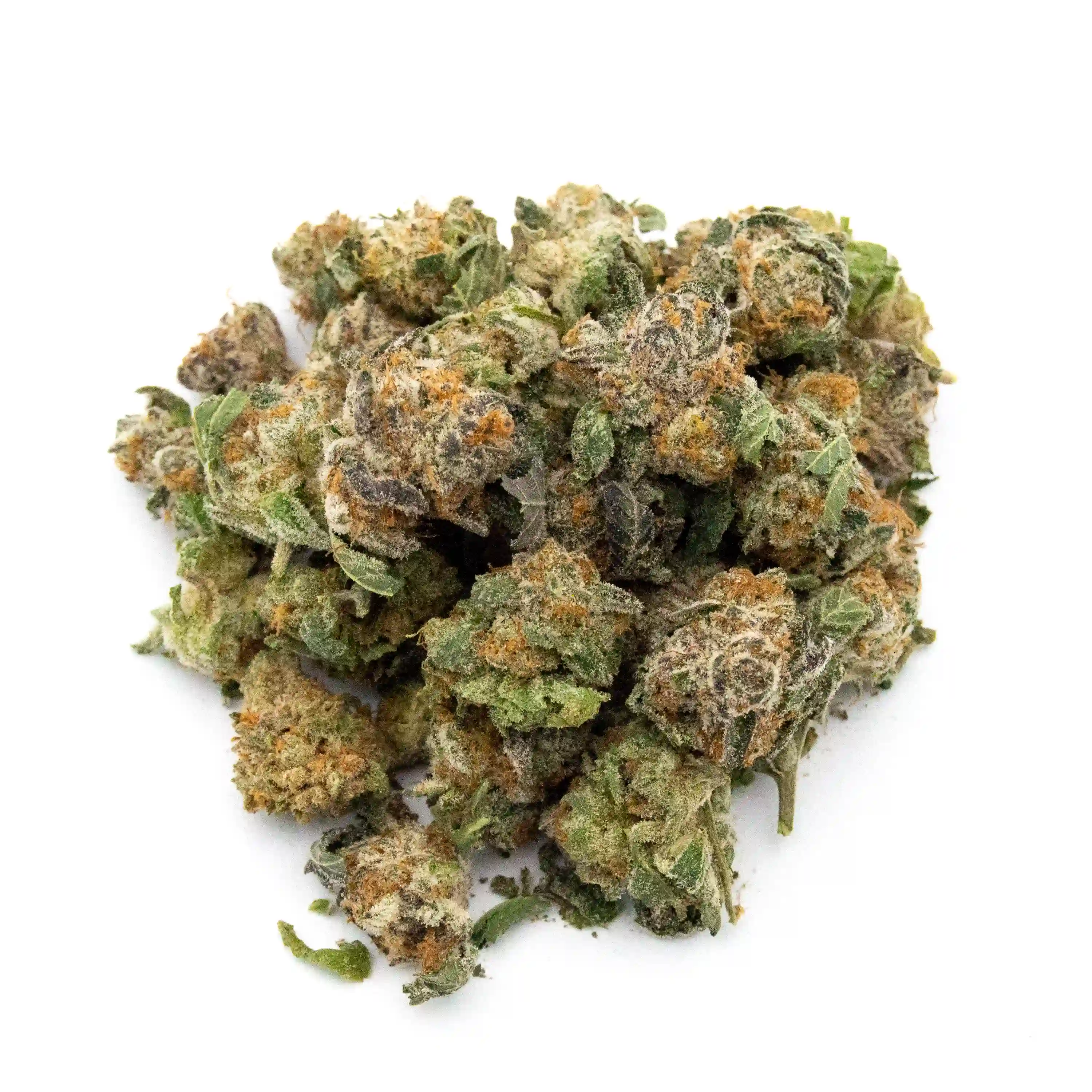 GMO x Mai Tai | Mini-Buds | 1/4 oz.