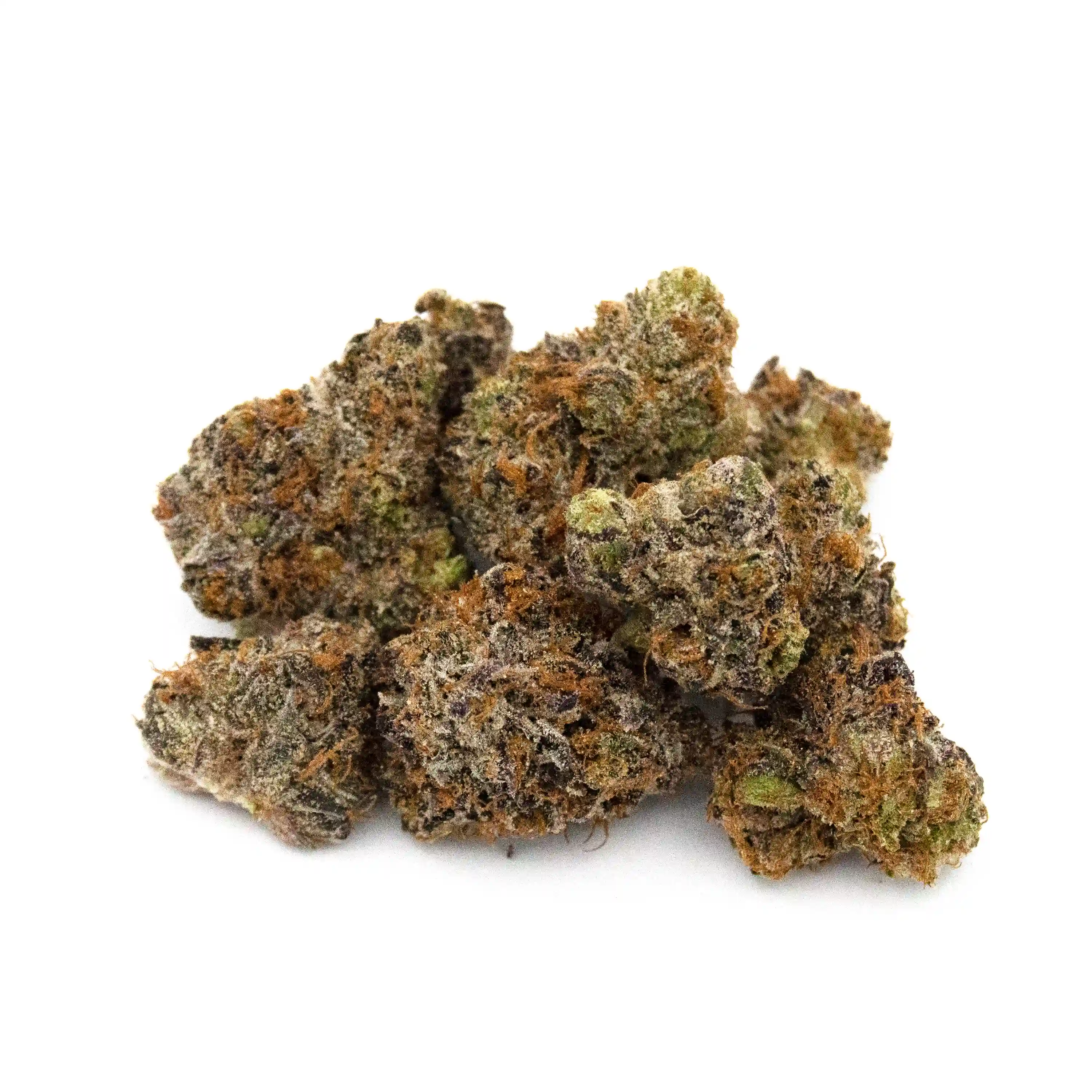 Gelato 41 | 1/8 oz.