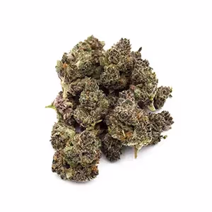 Gum Dropz | 1/8 oz.