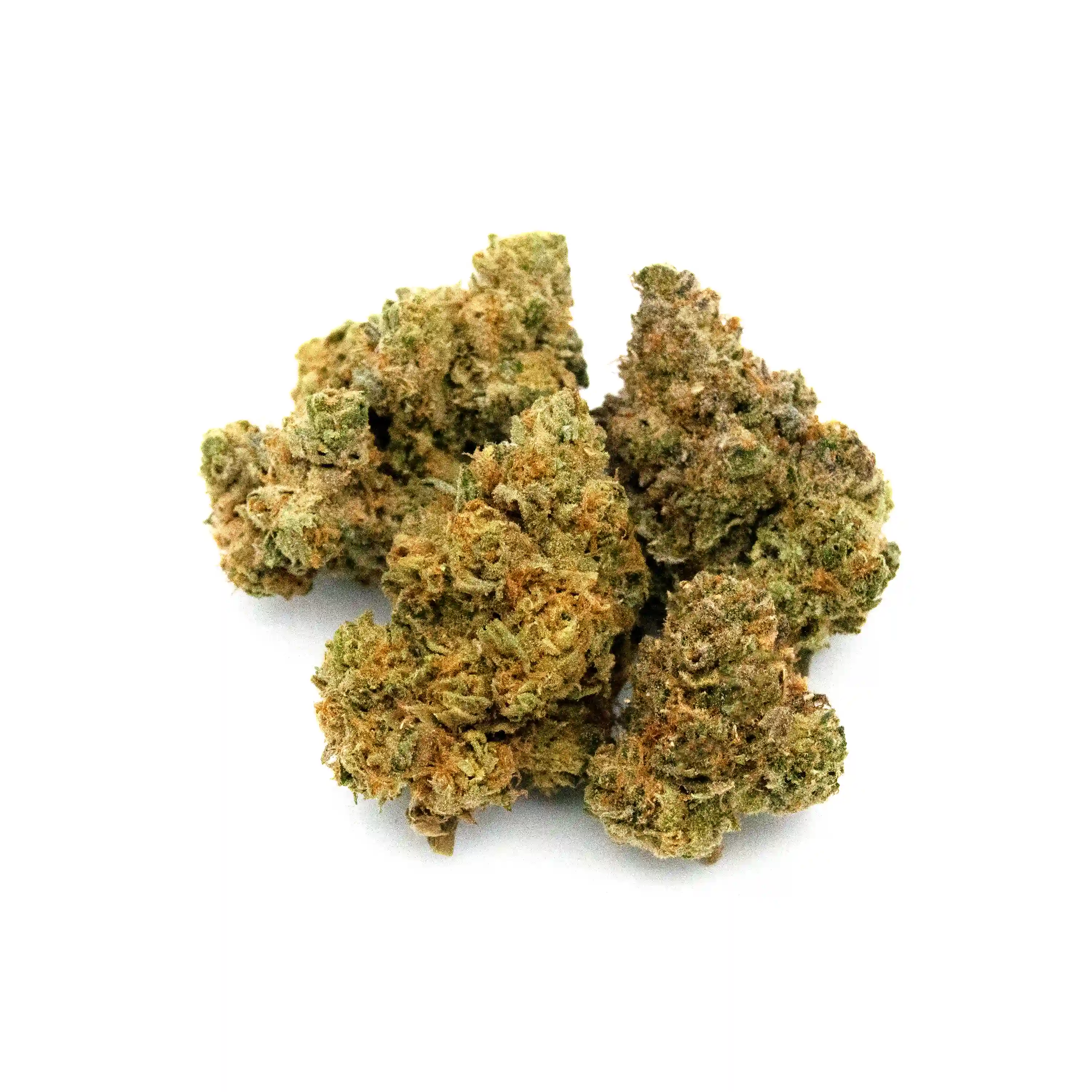 Apple Fritter | 1/8 oz.