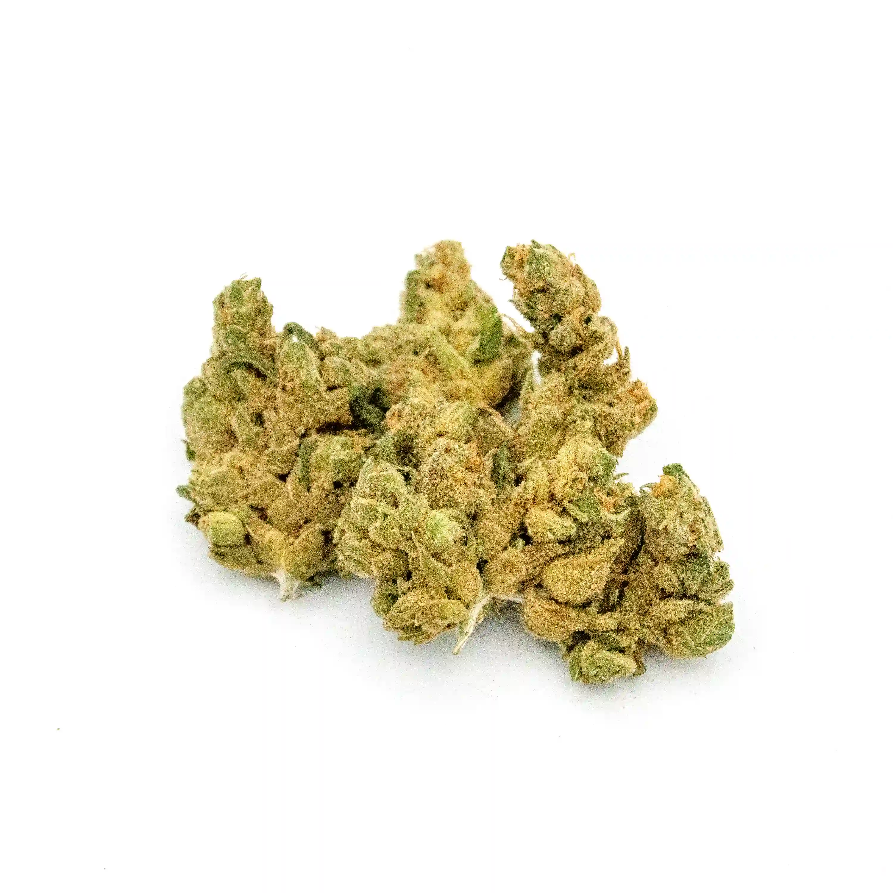 Blue Dream Sour Jack | Mini-Buds | 2g