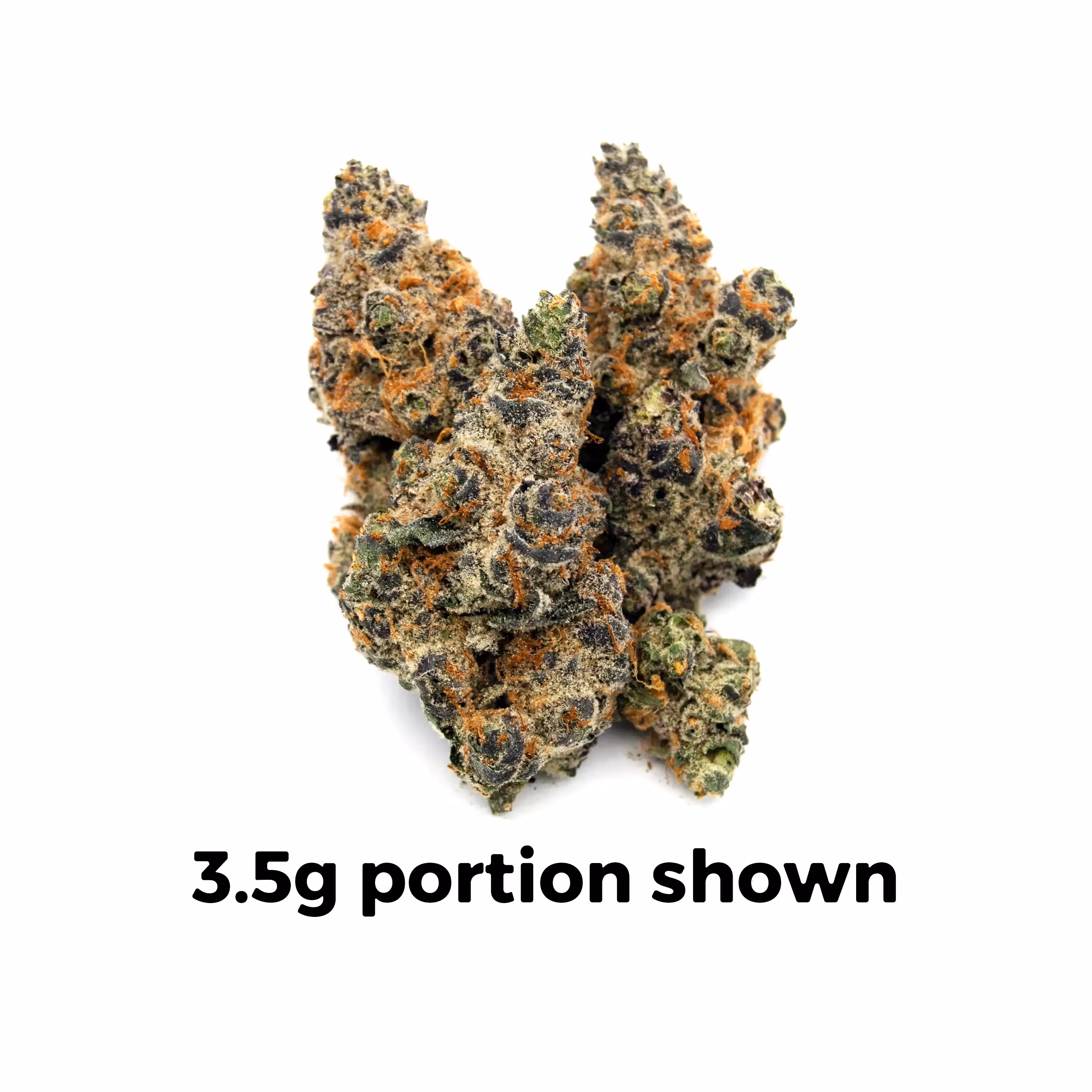 Blueberry Cupcake | Mini-Buds | 1/4 oz.