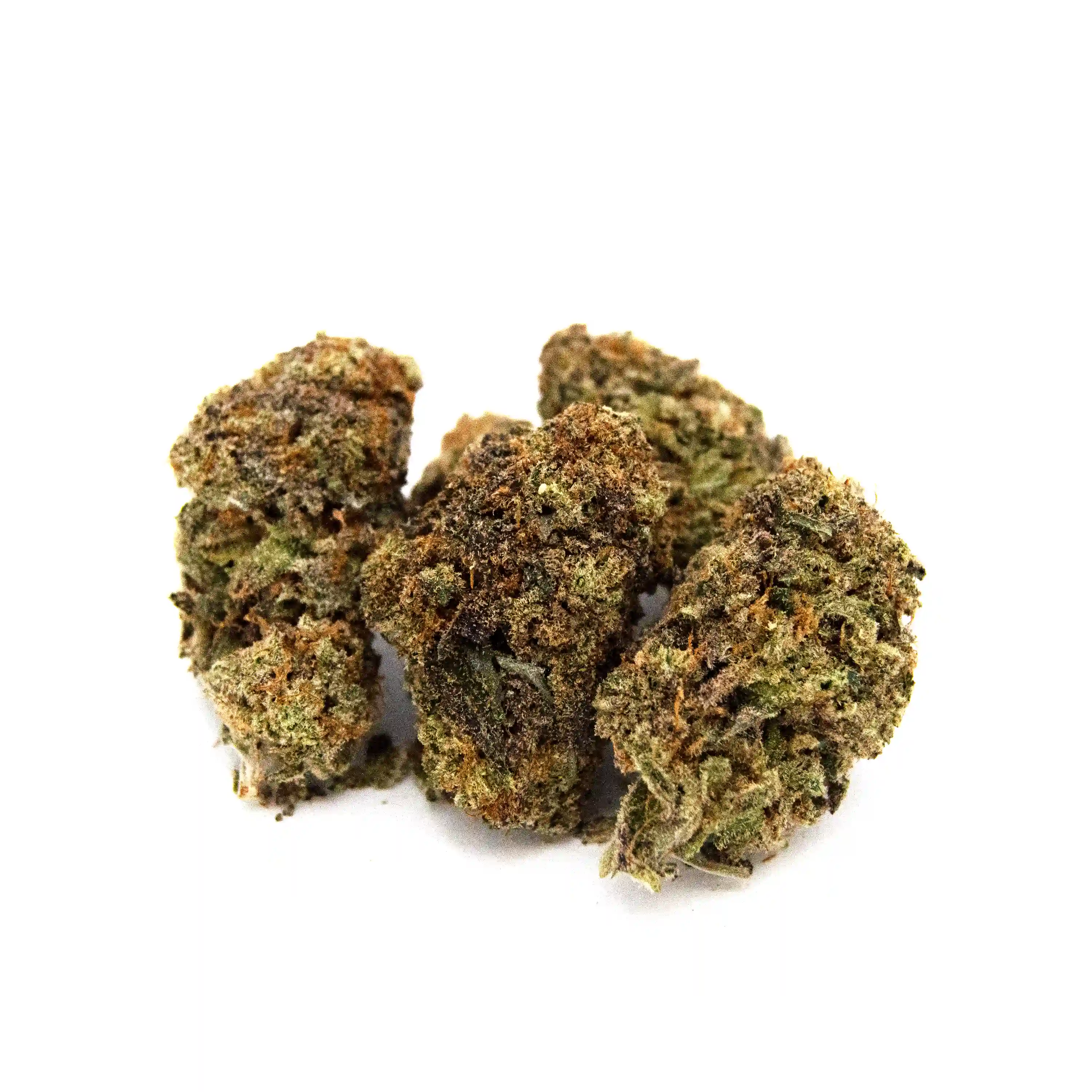 Socrates Sour | 1/8 oz.