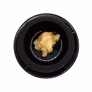 Black Maple | Live Rosin | 1g
