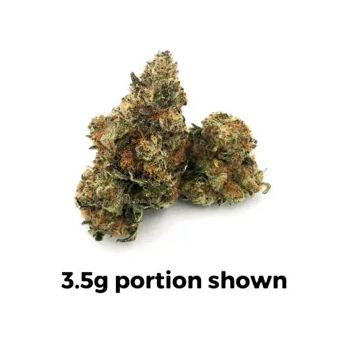 Super Boof | Mini-Buds | 1/2 oz.