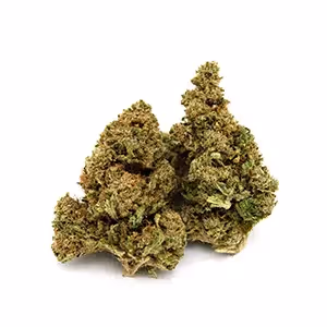 Godfather OG | CBD | 1/8 oz.