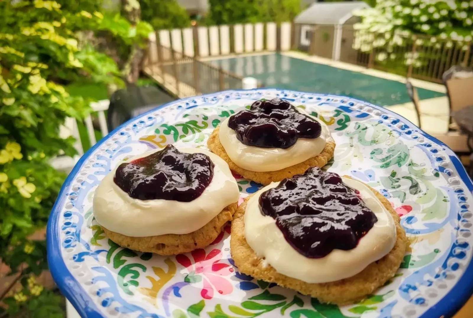 1:1 THC:CBD Cannabis Infused Blueberry Cheesecake Cookies