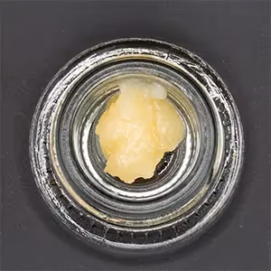 Lotus Fang | Live Budder | 1g