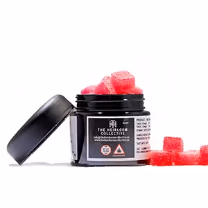 Sugar Free Watermelon Cubes | 20 pk