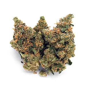 Night Magic | 1/8 oz.