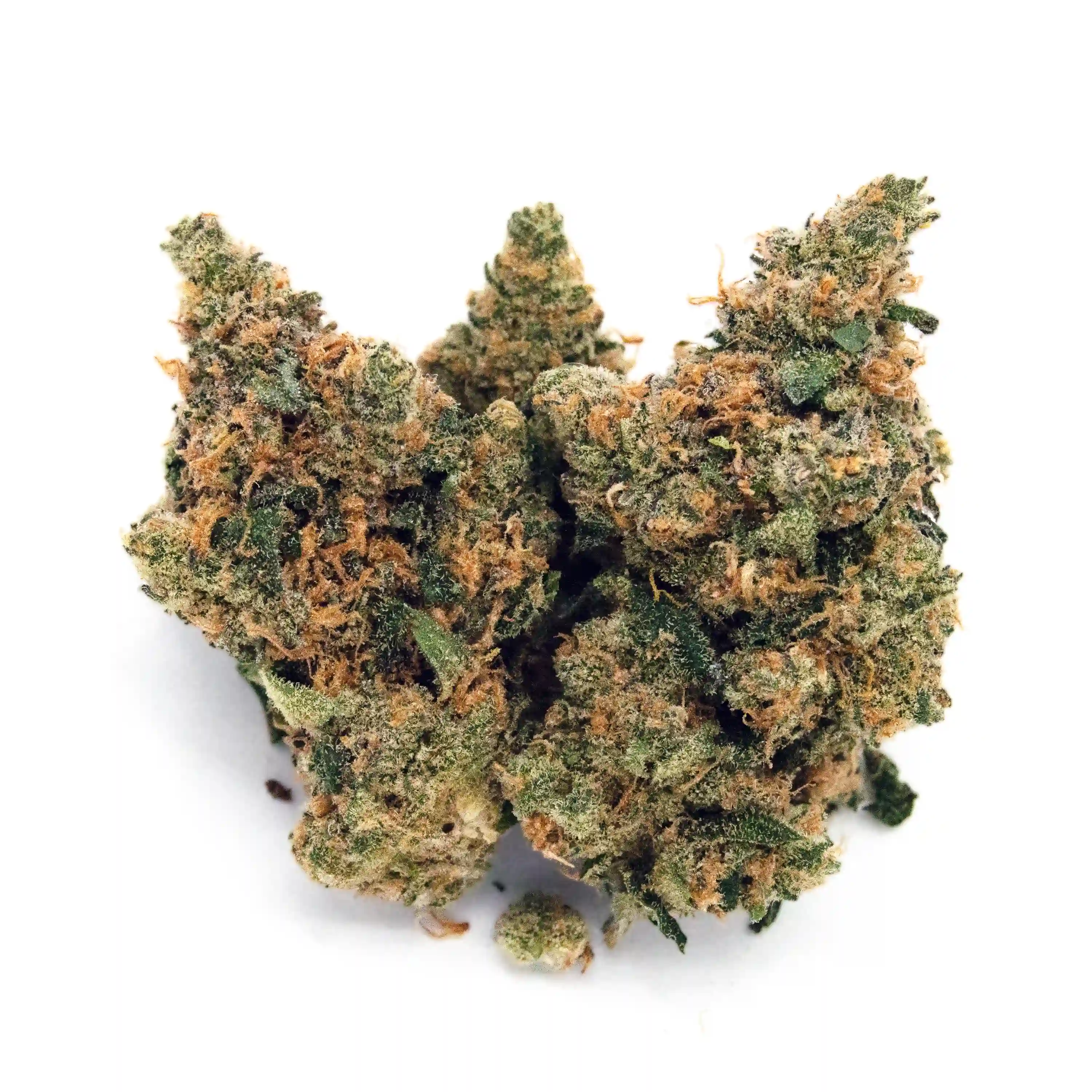 Night Magic | 1/8 oz.