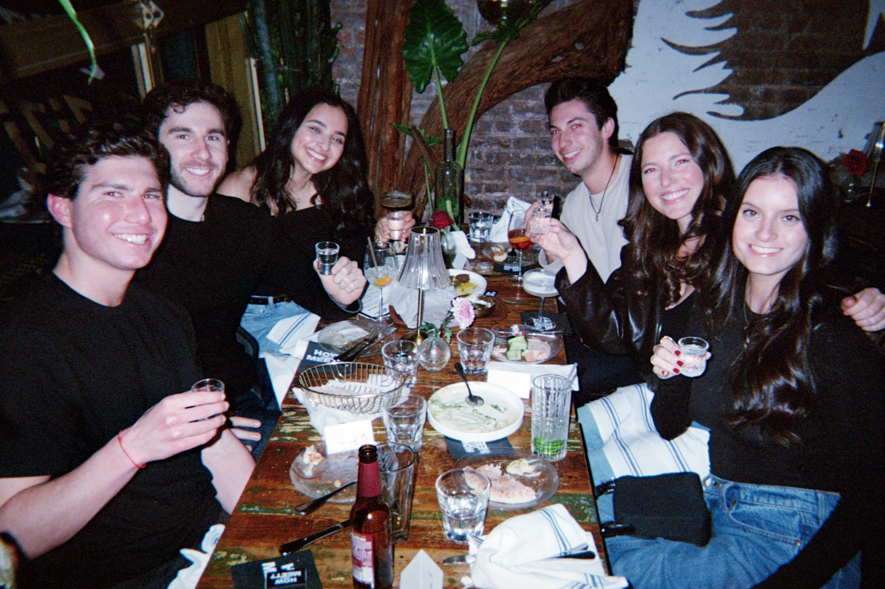 Friends raising a toast around a How Jew Meet dinner table