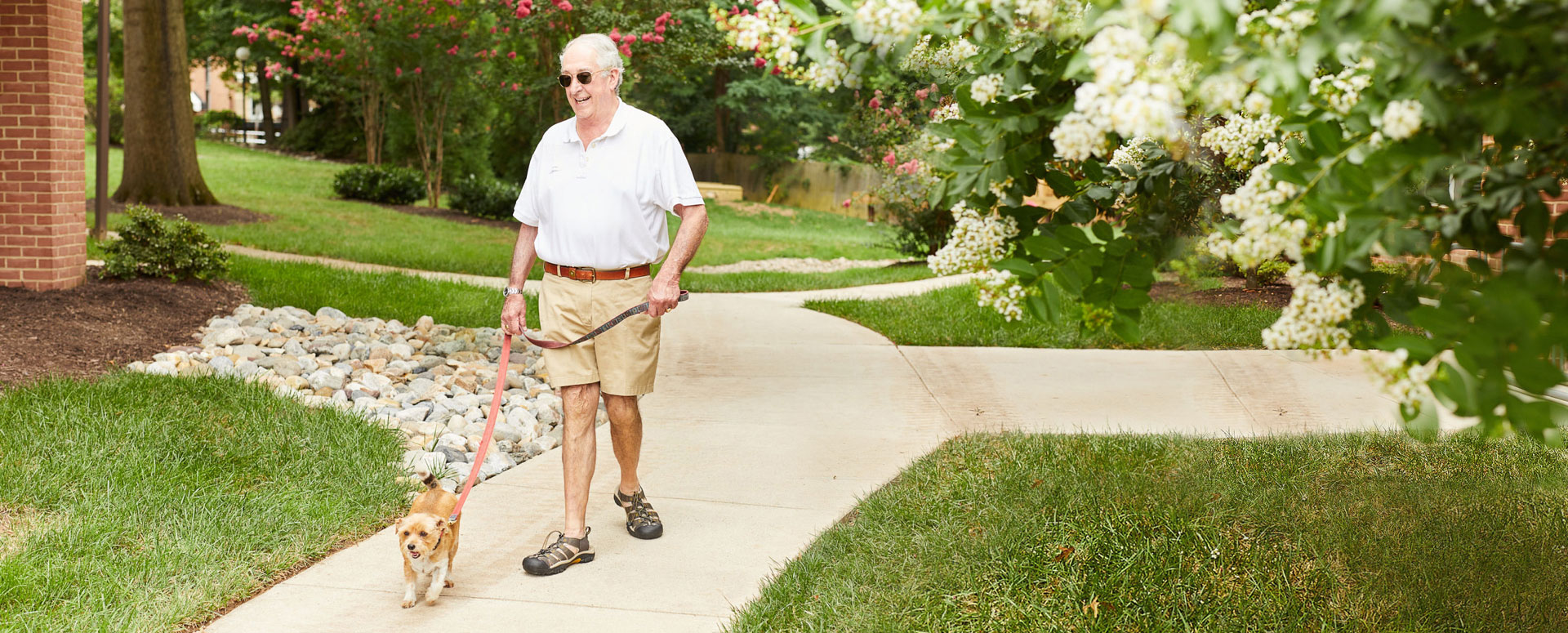 Man Dog Walking at Vinson Hall Retirement Community. McLean, VA