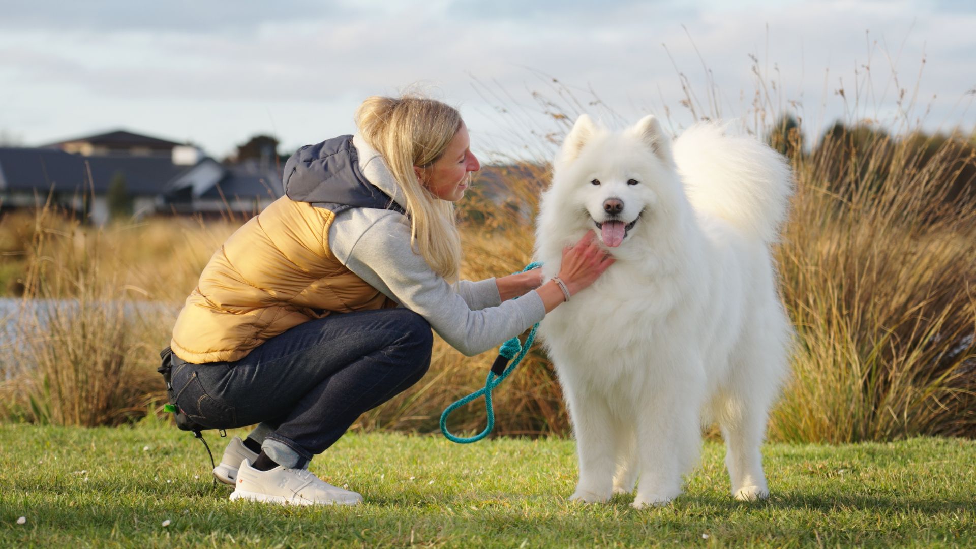 Arctic Sammy captured by Digital Influence