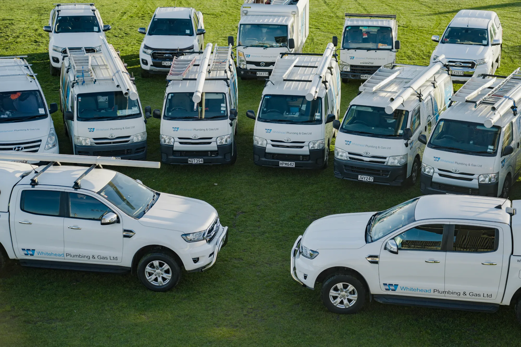 Fleet of Whitehead Plumbing & Gas branded vans and utes parked on a grass field