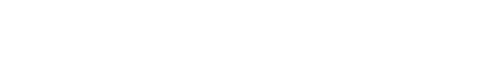 Winnie Bagoes logo