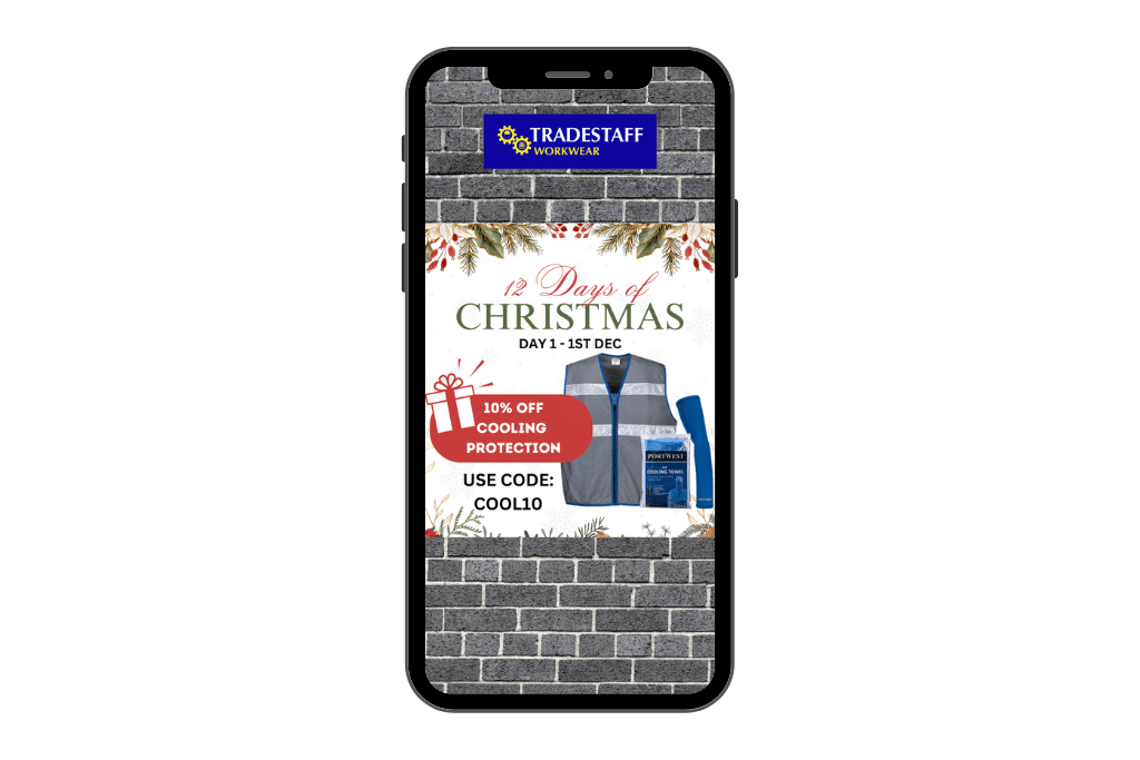 12 Days of Christmas