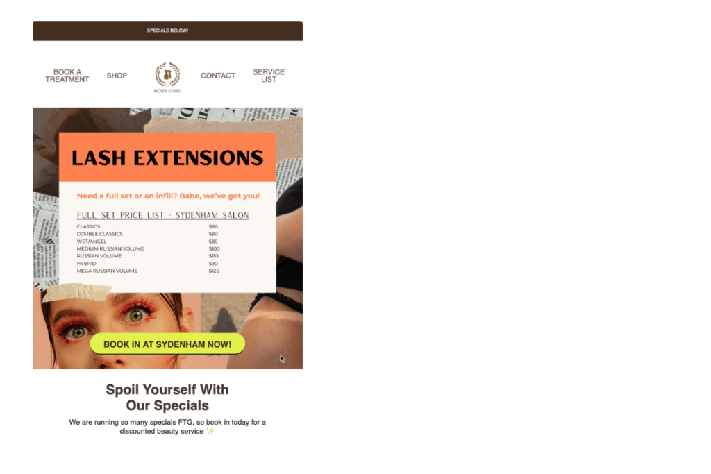 Bronzed Goddess Email Campaign
