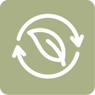Sustainable Practices Icon