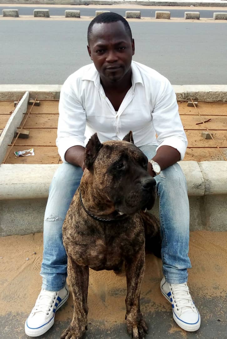 Man in a white shirt and jeans sitting on a concrete surface with a large brindle dog in front.